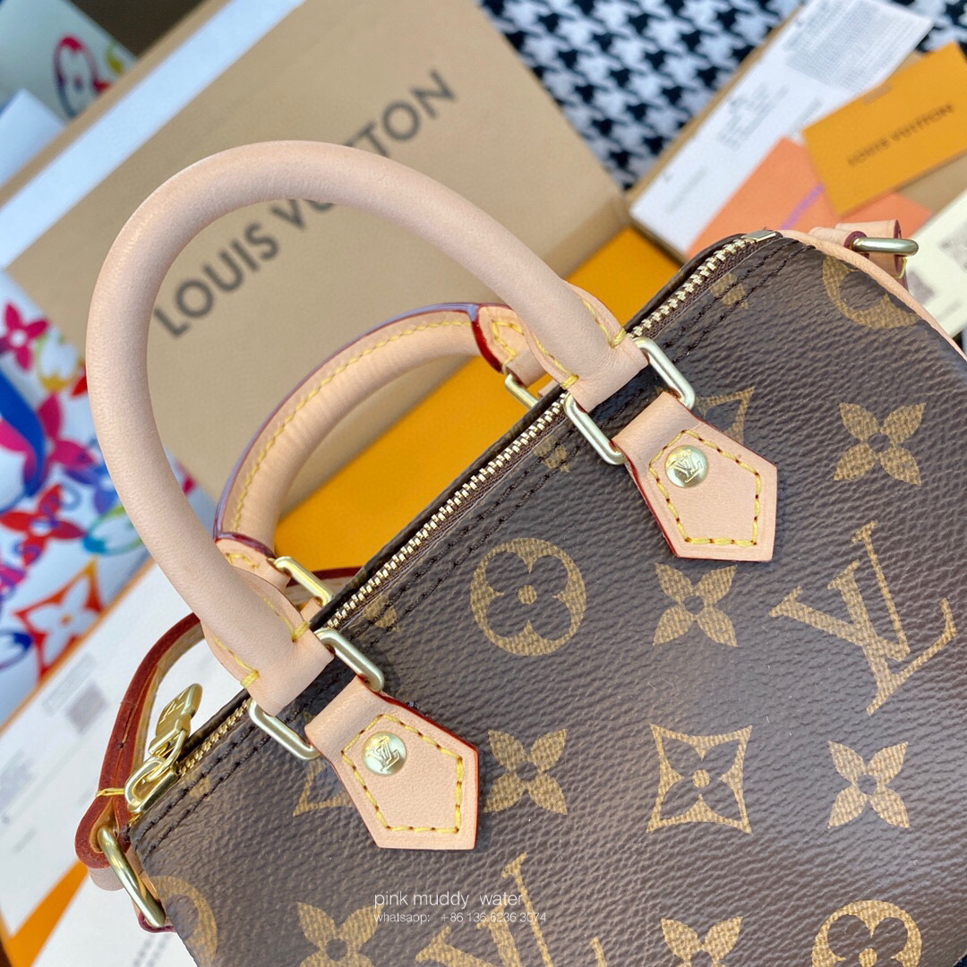 Louis Vuitton Bag
