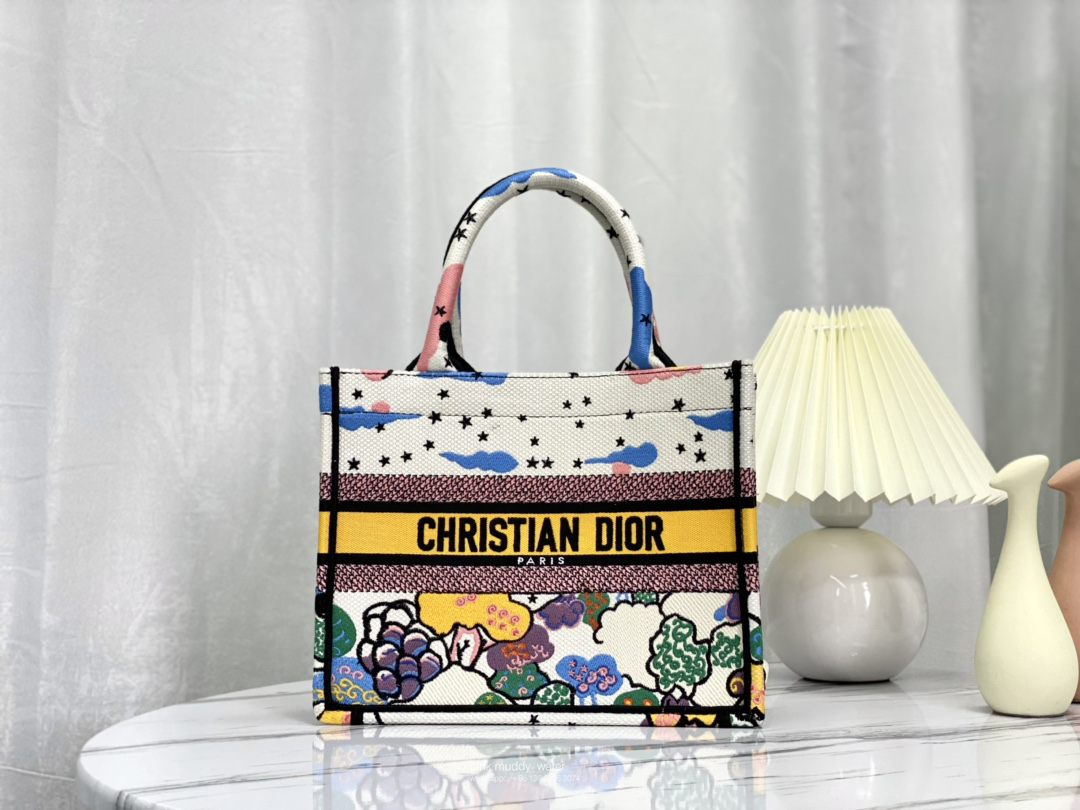 SMALL DIOR BOOK TOTE