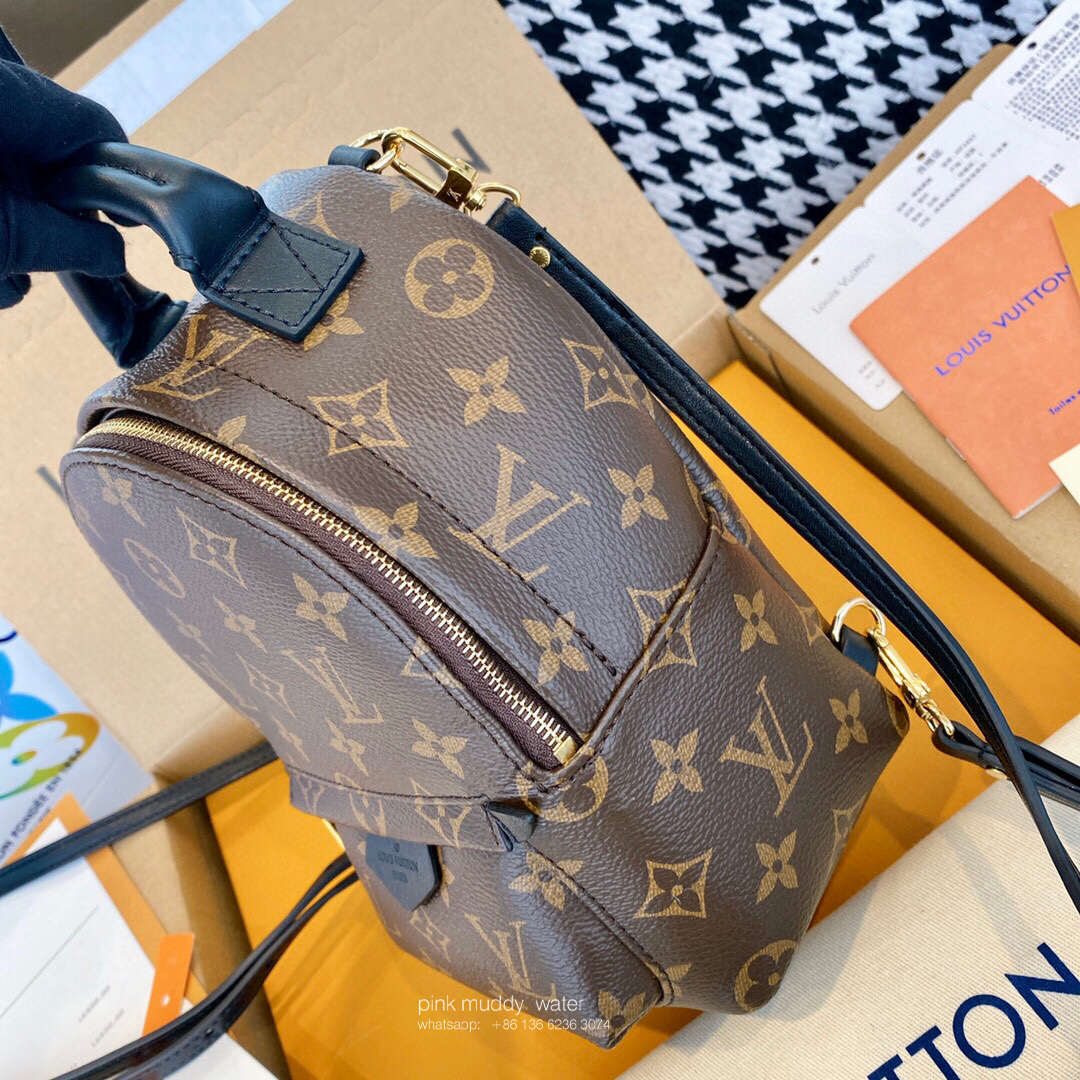 Louis Vuitton Bag