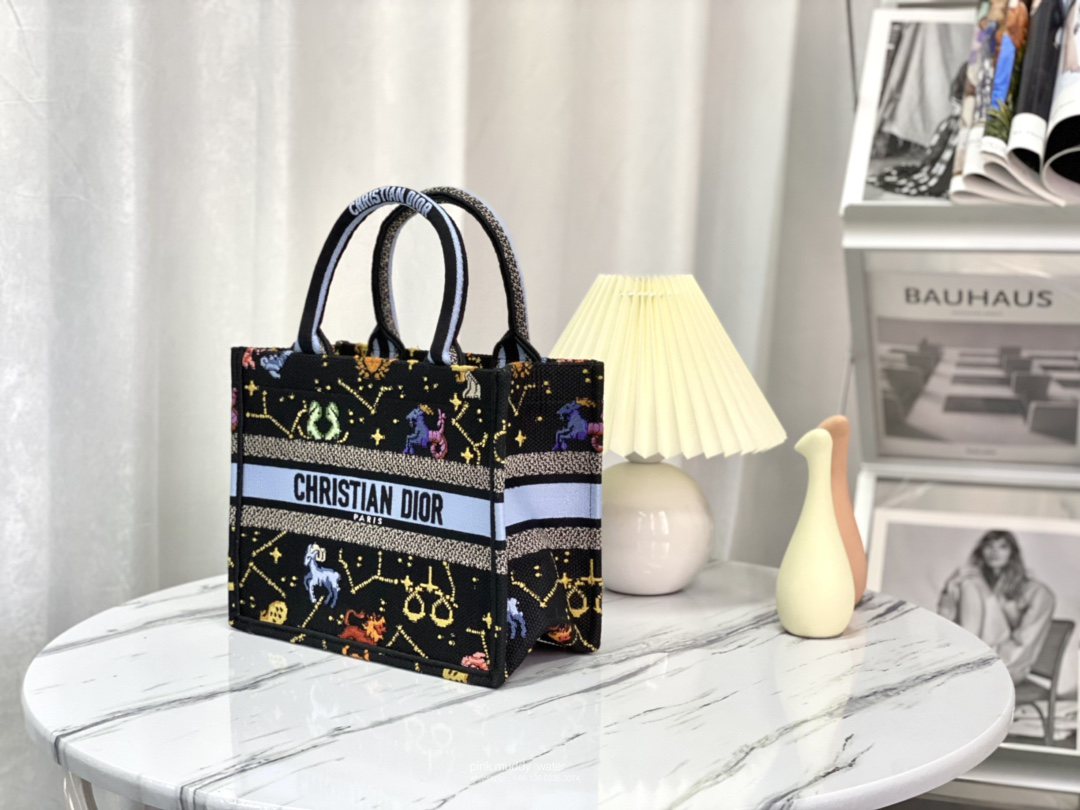 SMALL DIOR BOOK TOTE