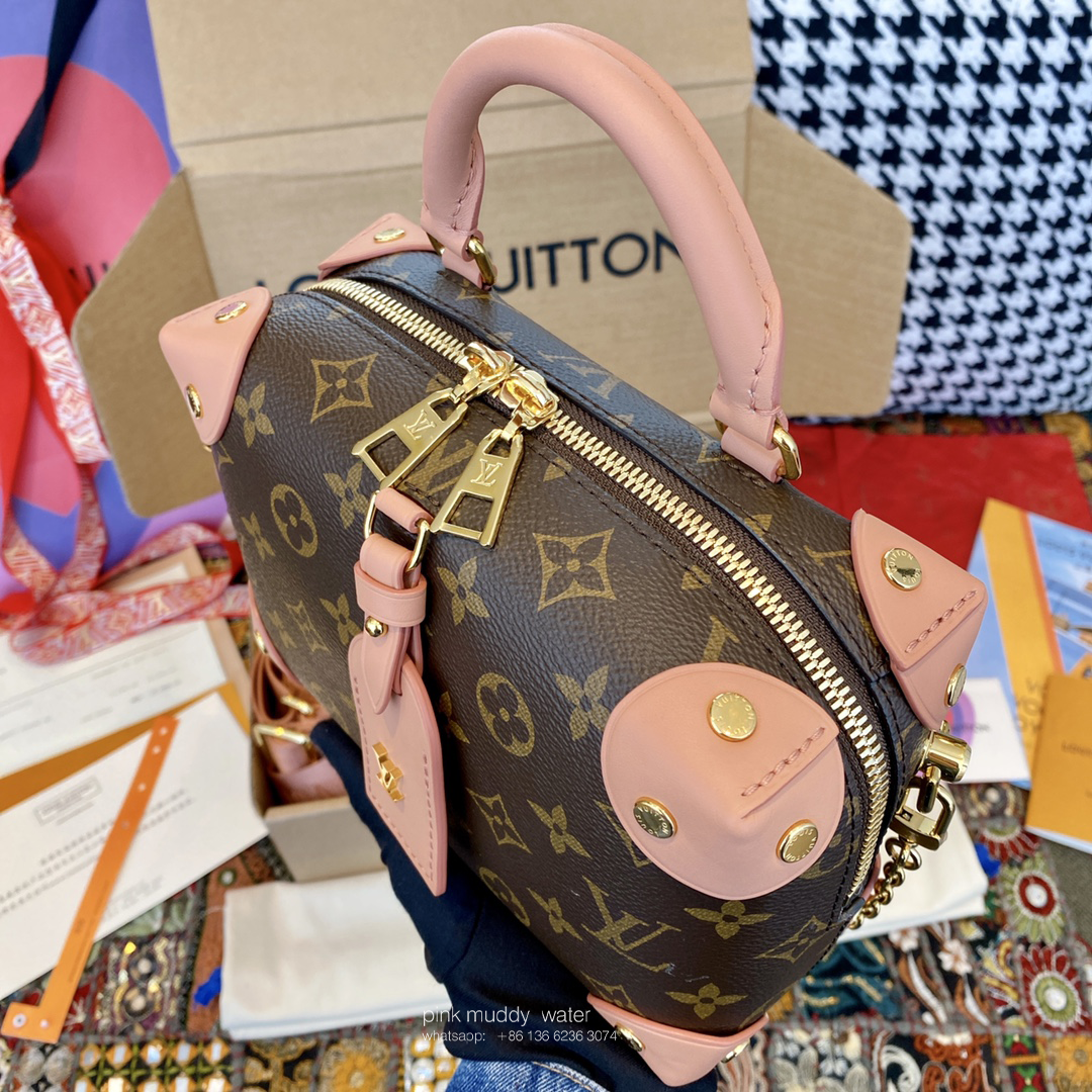 Louis Vuitton Bag