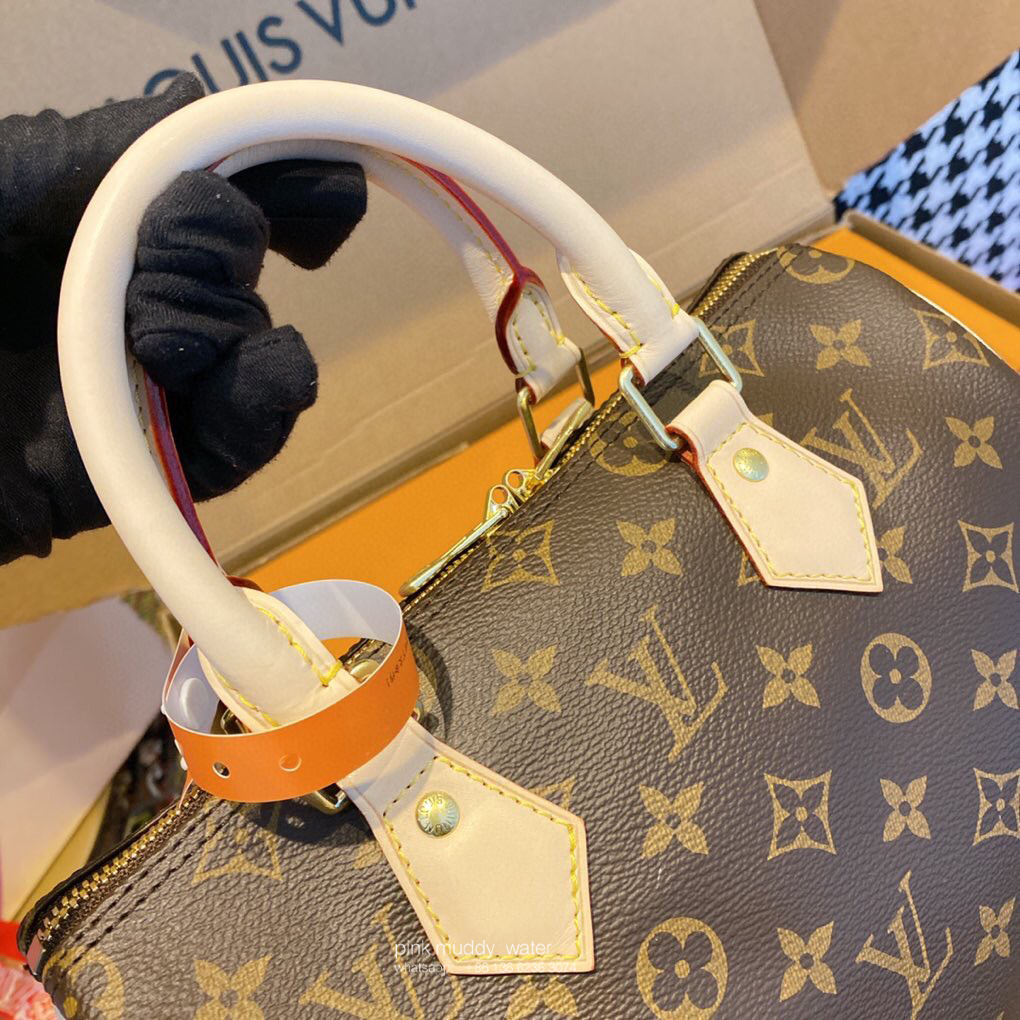 Louis Vuitton Bag