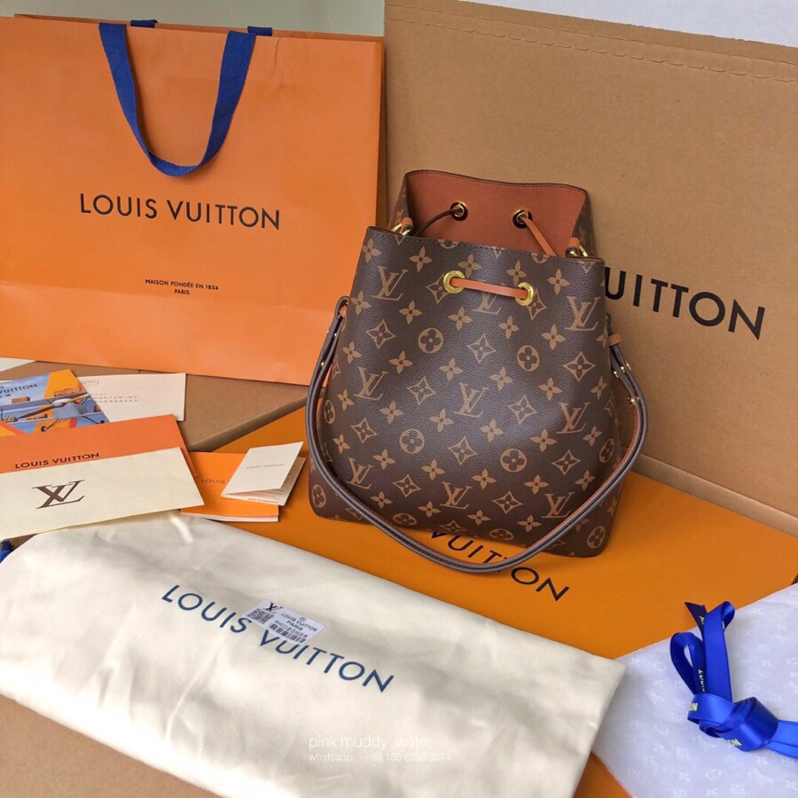 Louis Vuitton Bag
