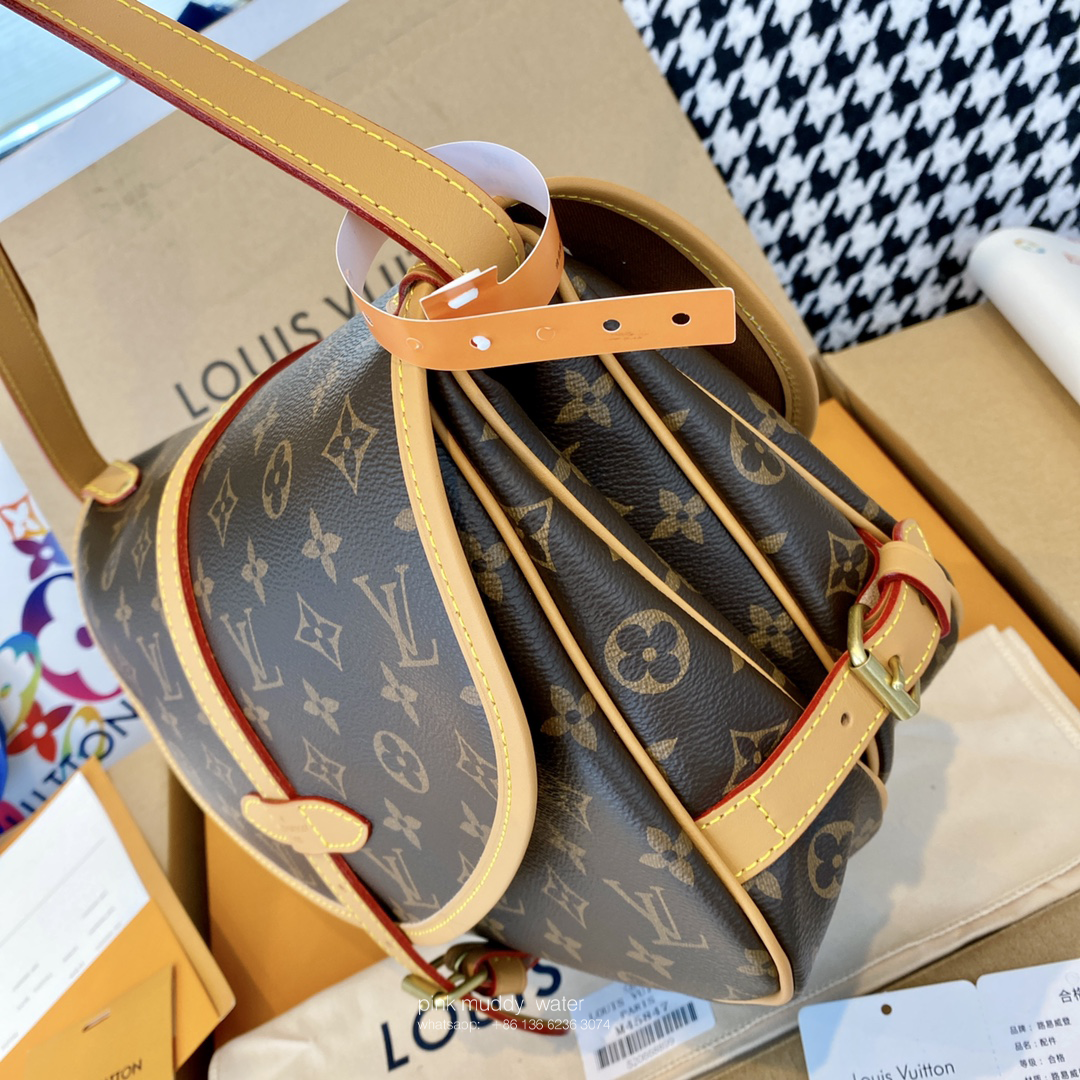 Louis Vuitton Bag