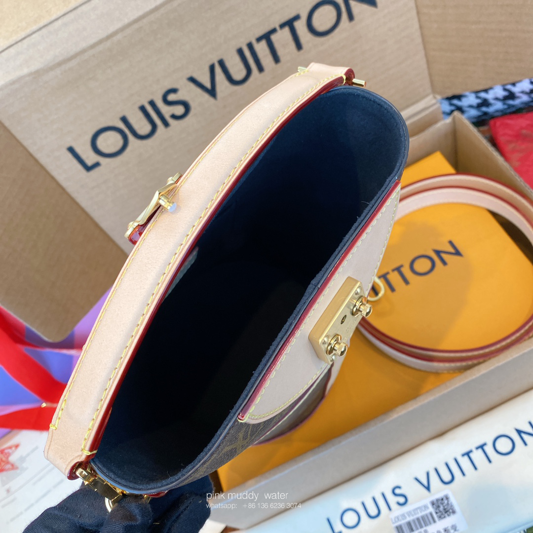 Louis Vuitton Bag