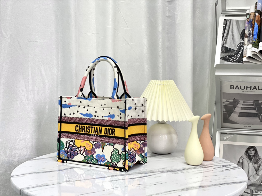 SMALL DIOR BOOK TOTE