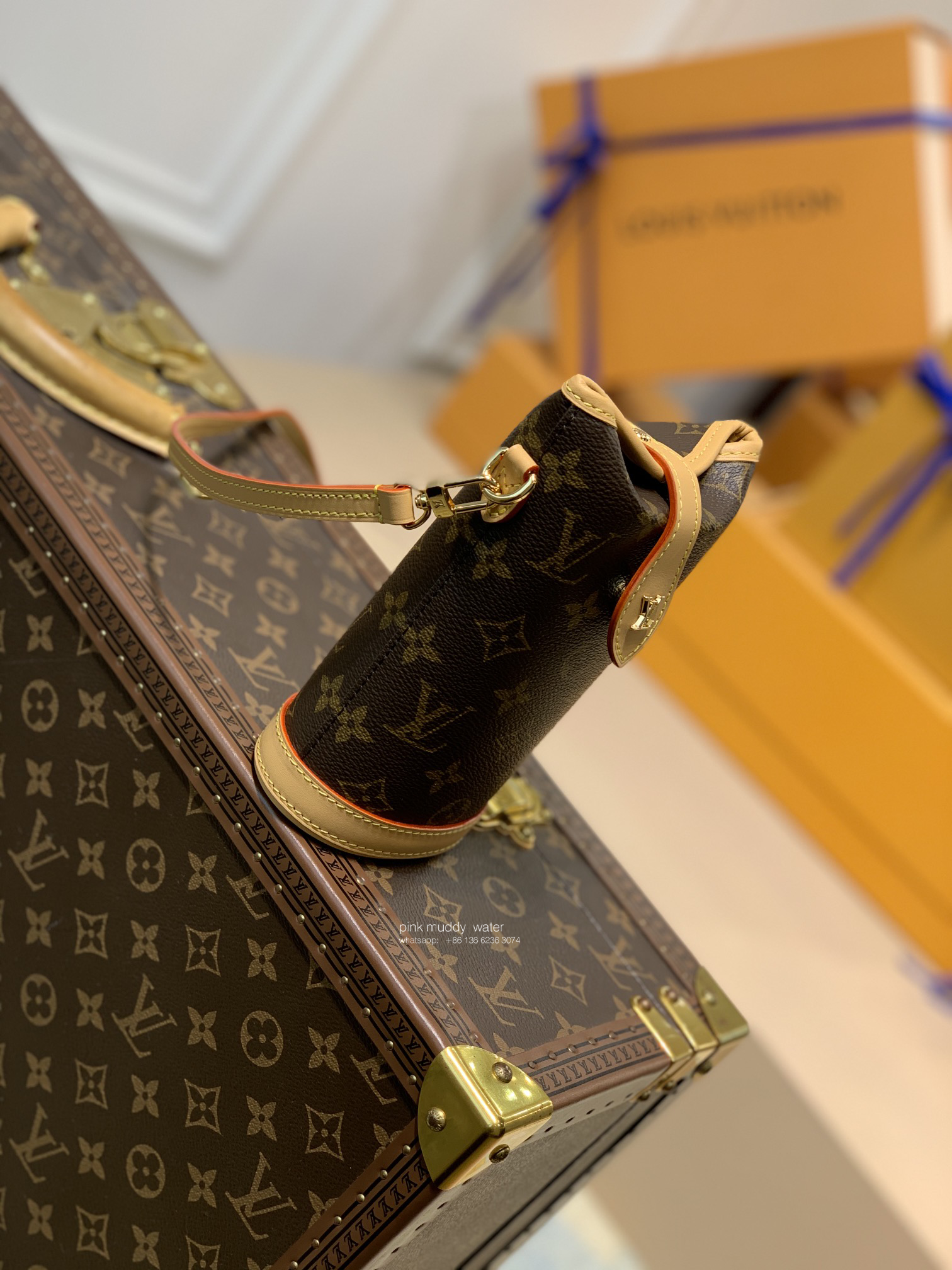 Louis Vuitton Bag