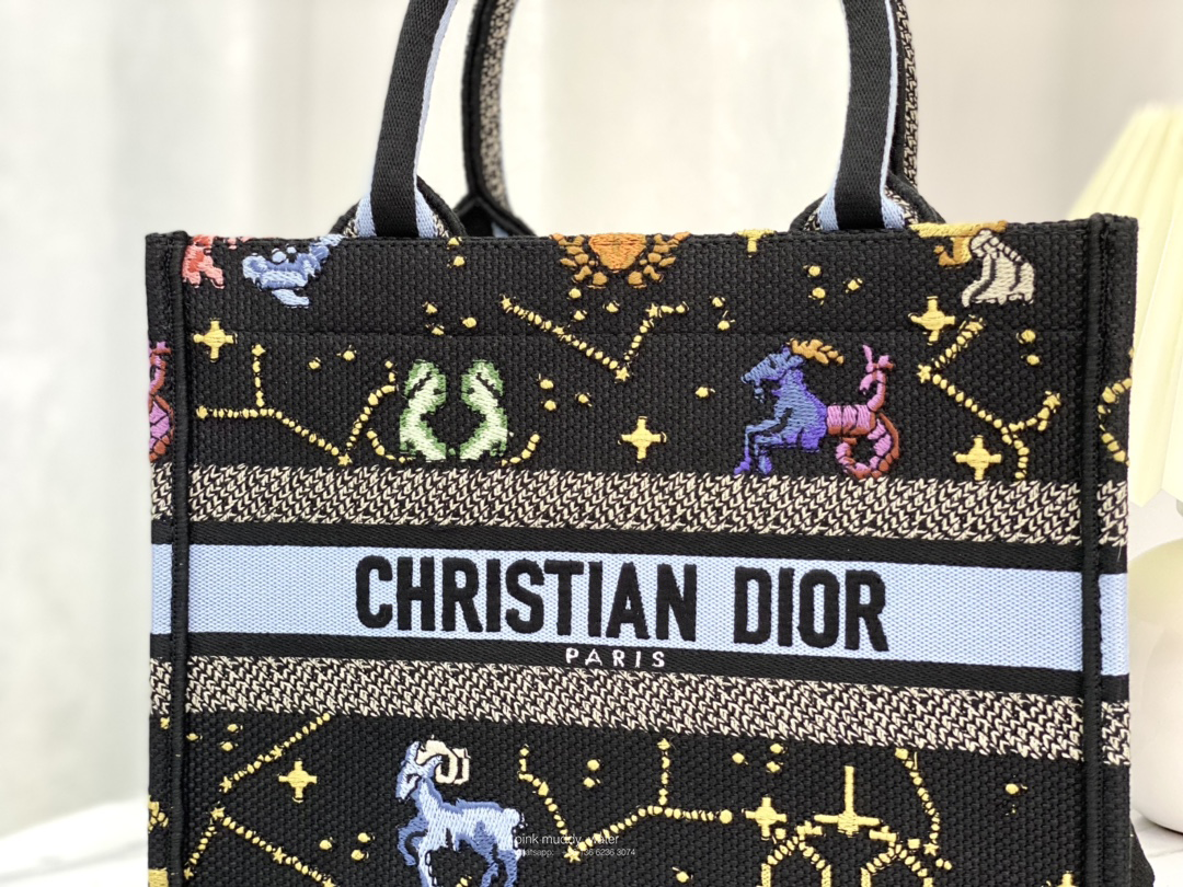 SMALL DIOR BOOK TOTE