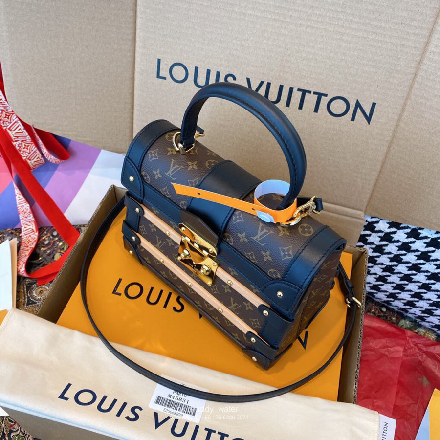 Louis Vuitton Bag