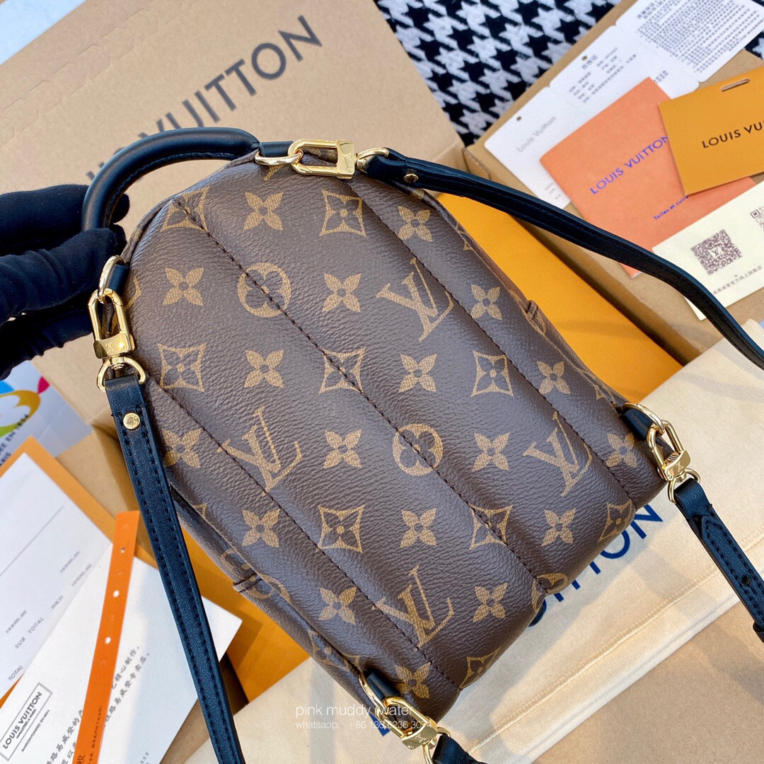 Louis Vuitton Bag