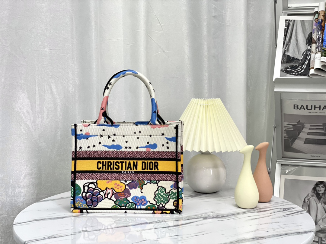 SMALL DIOR BOOK TOTE