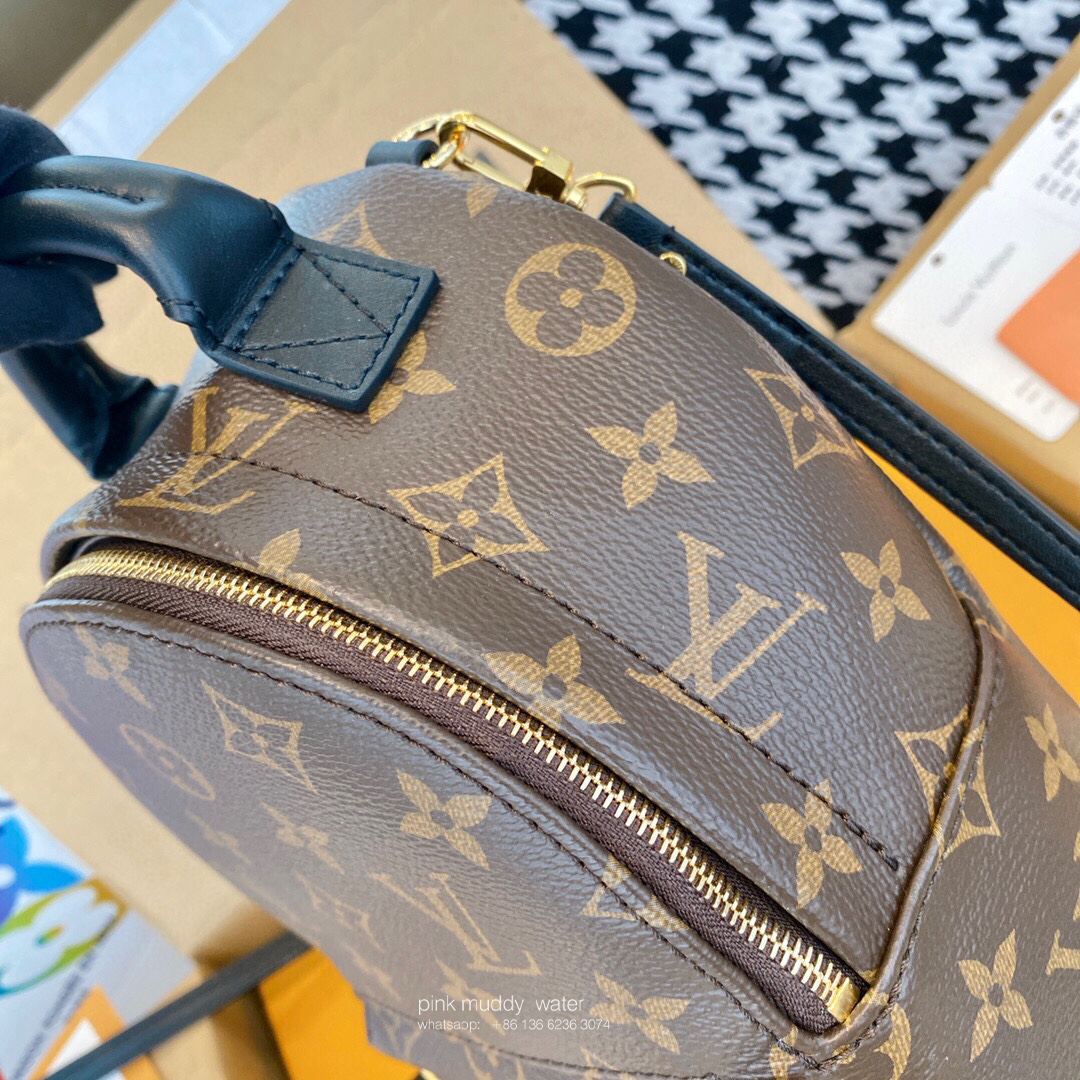 Louis Vuitton Bag