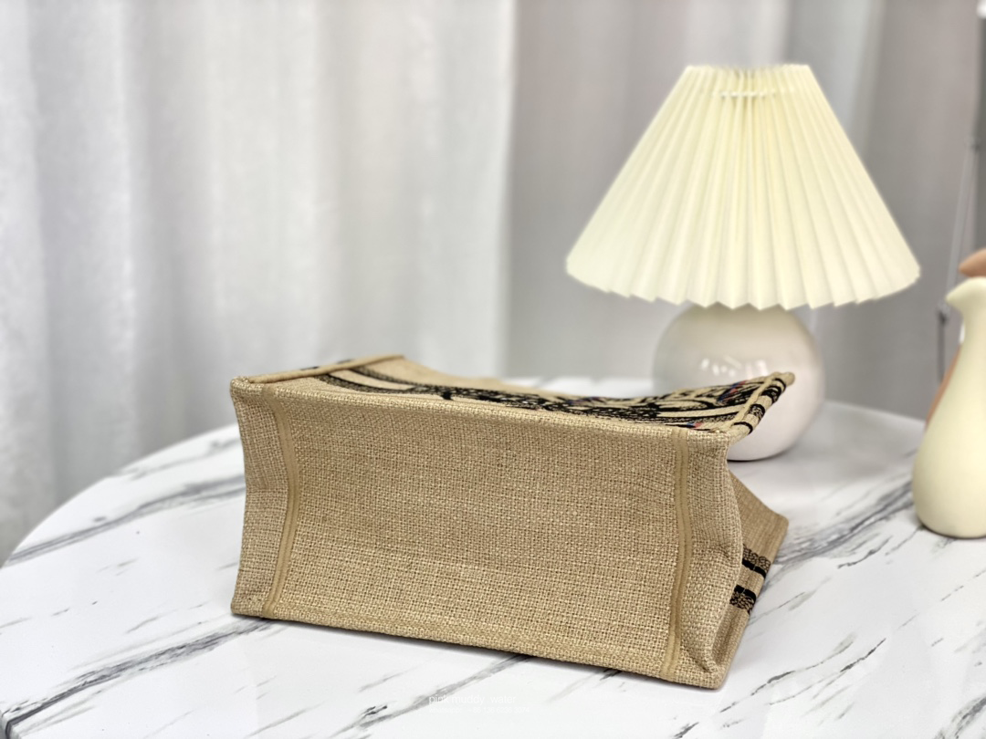 SMALL DIOR BOOK TOTE