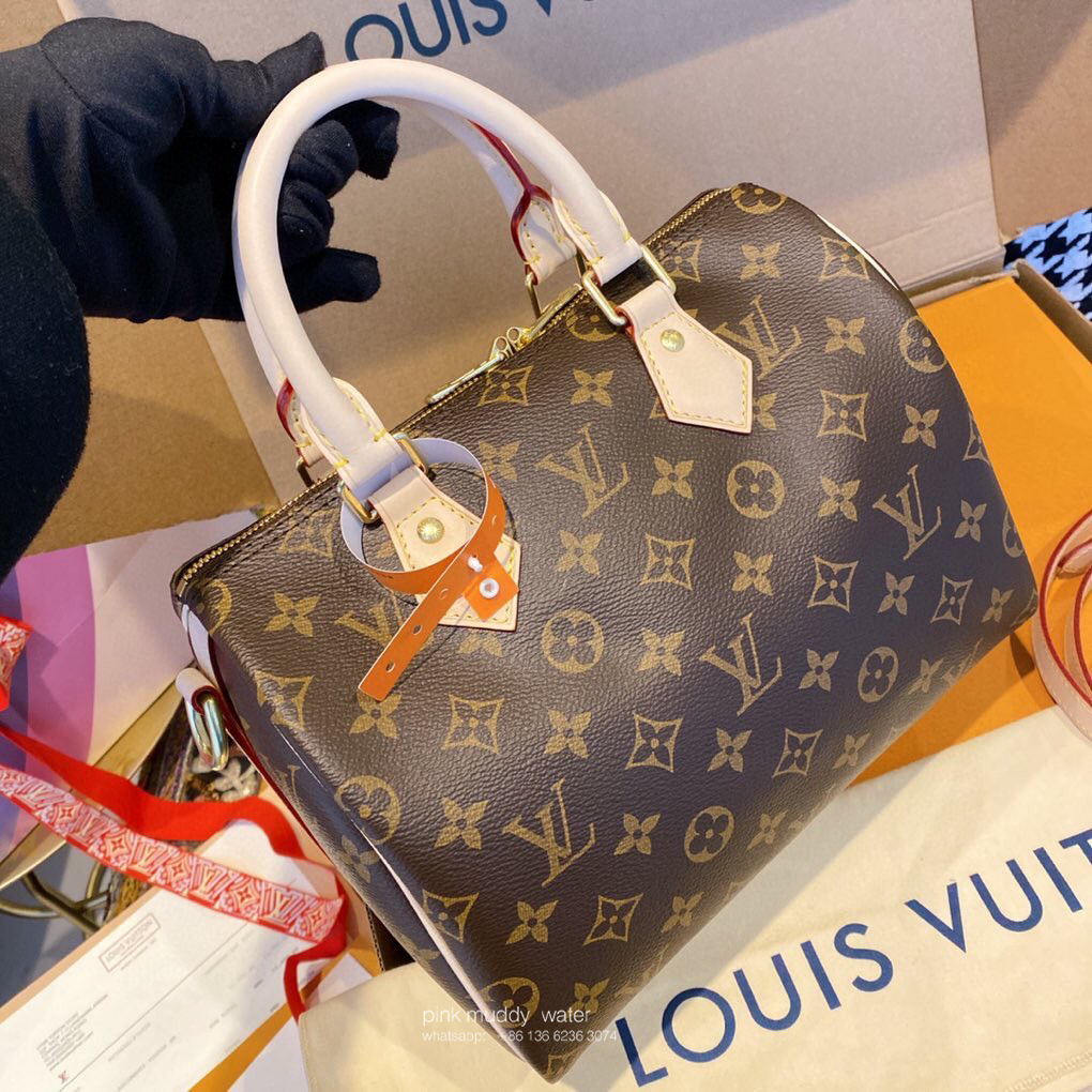 Louis Vuitton Bag