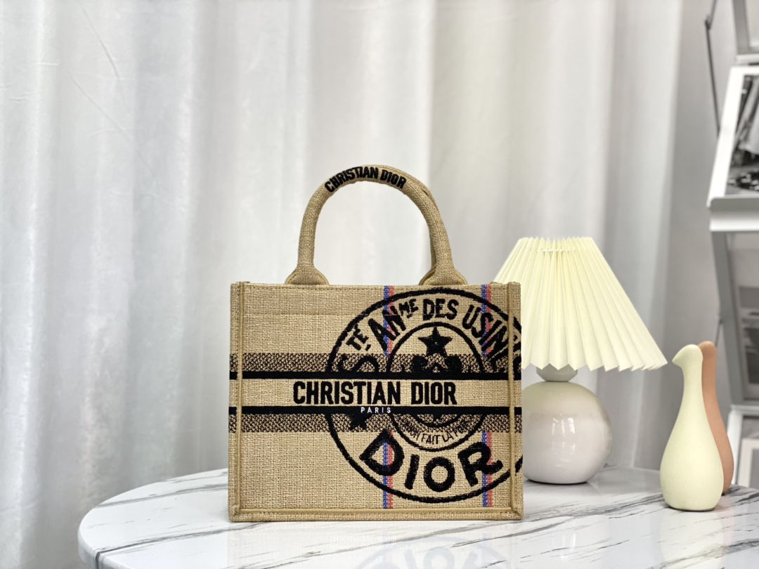 SMALL DIOR BOOK TOTE