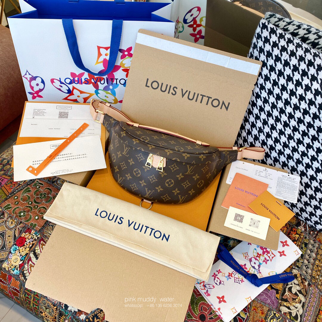 Louis Vuitton Bag