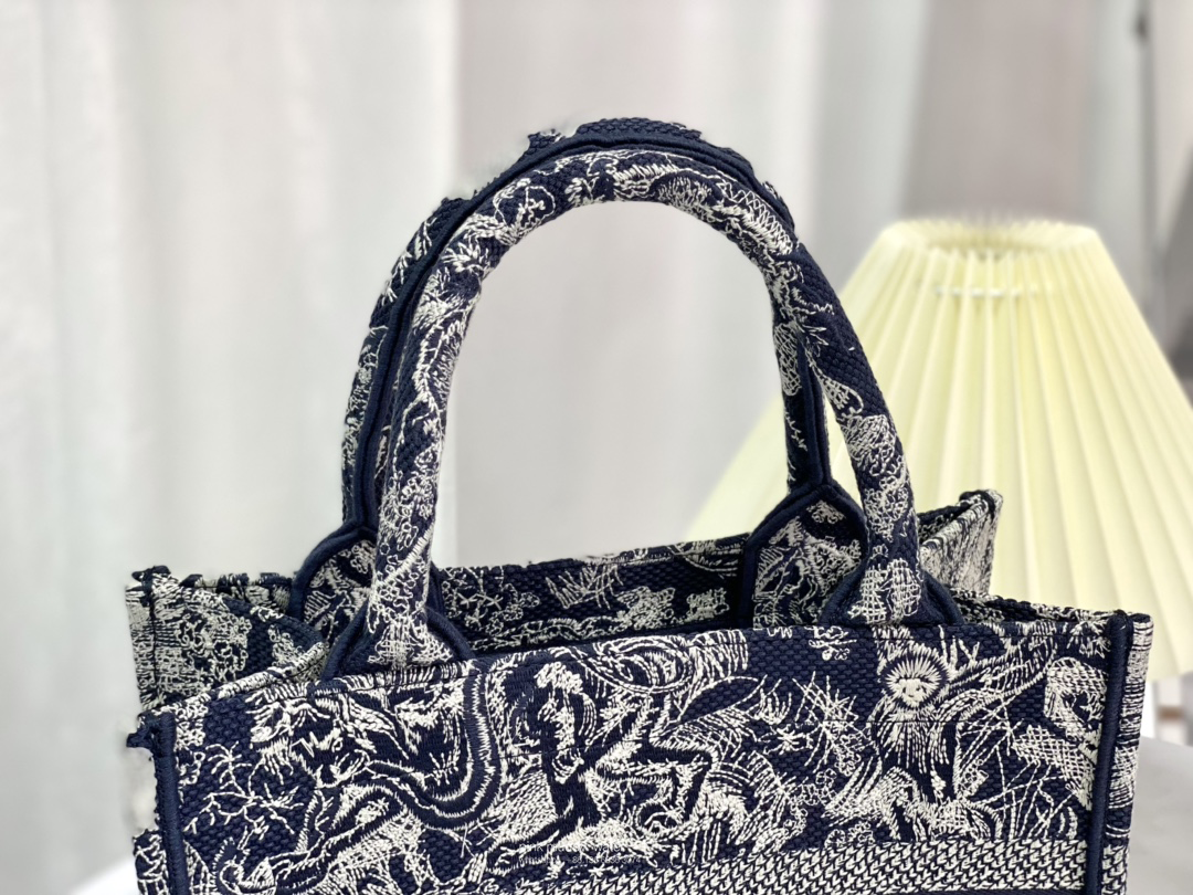 SMALL DIOR BOOK TOTE