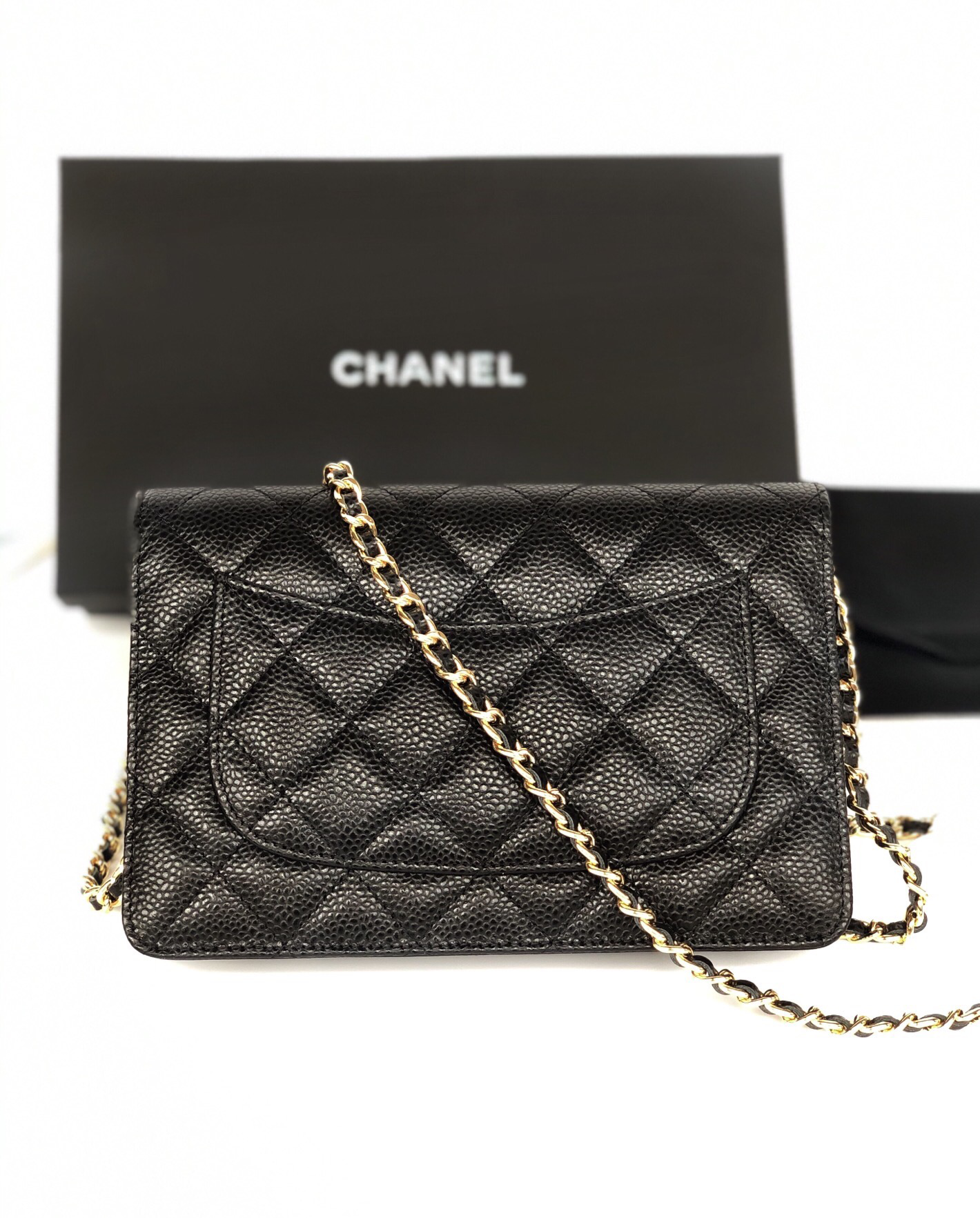 Chanel Bag