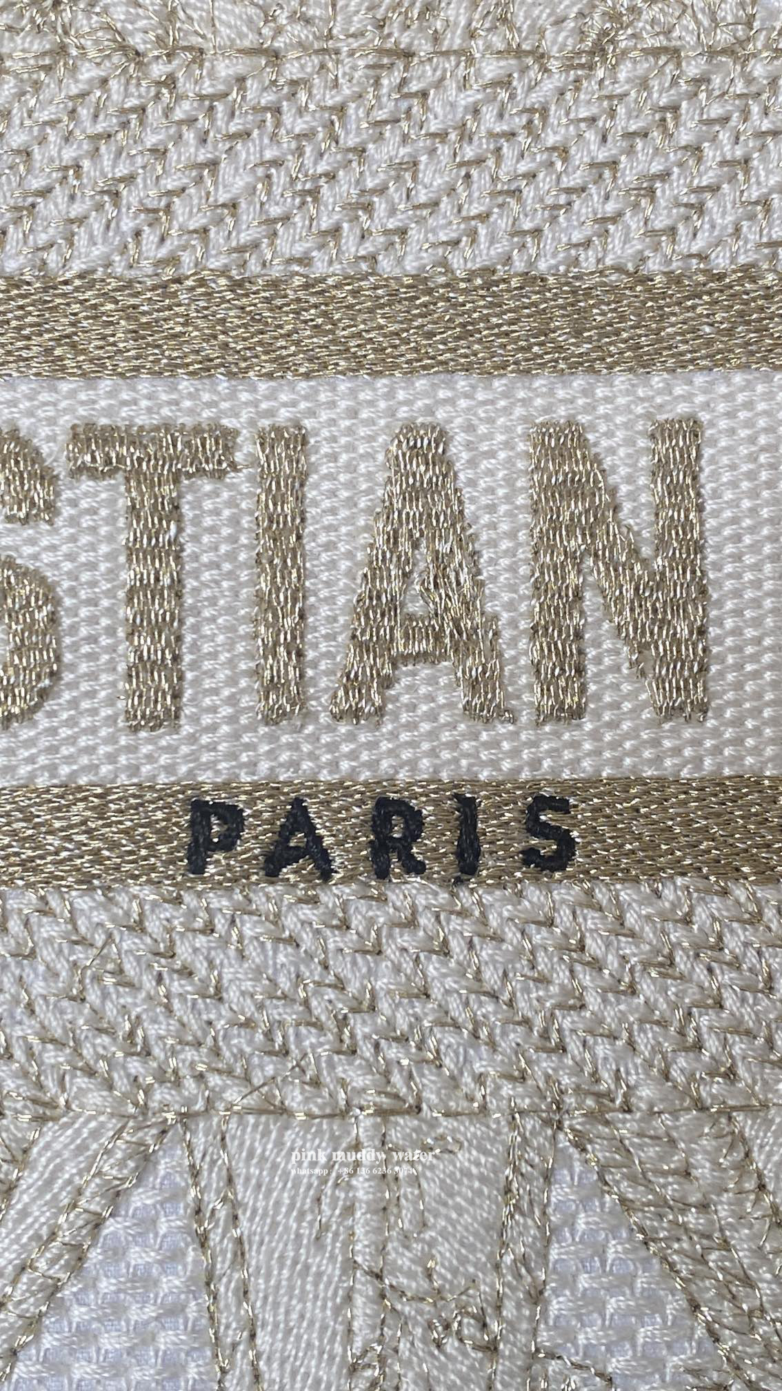 SMALL DIOR BOOK TOTE