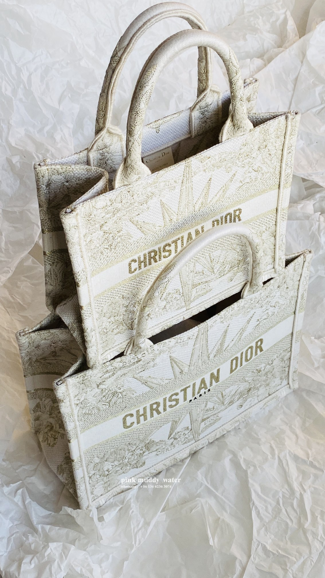 SMALL DIOR BOOK TOTE