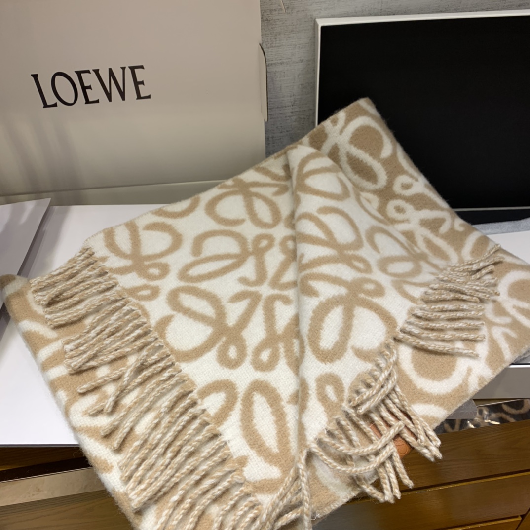 LOEWE Accessories
