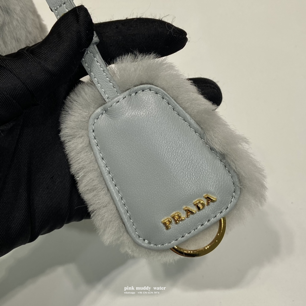 Prada Bag