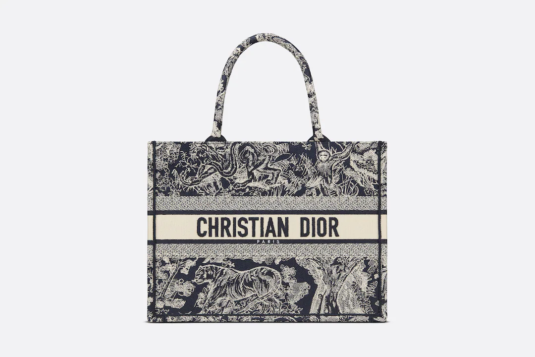 SMALL DIOR BOOK TOTE