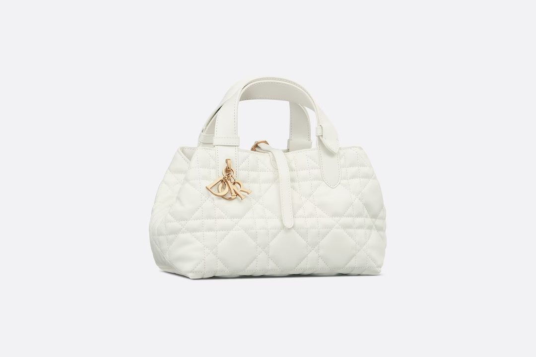 SMALL DIOR TOUJOURS BAG