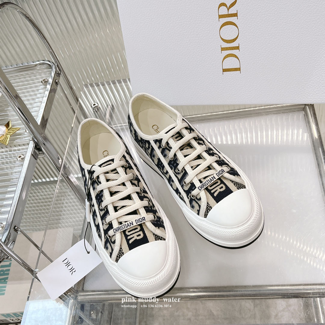 Dior Shoes