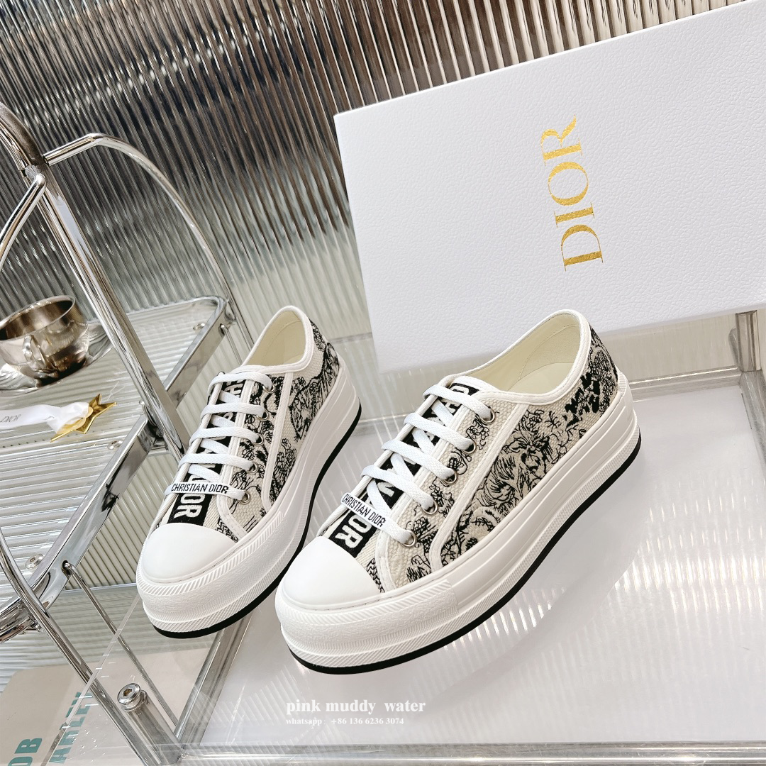 Dior Shoes