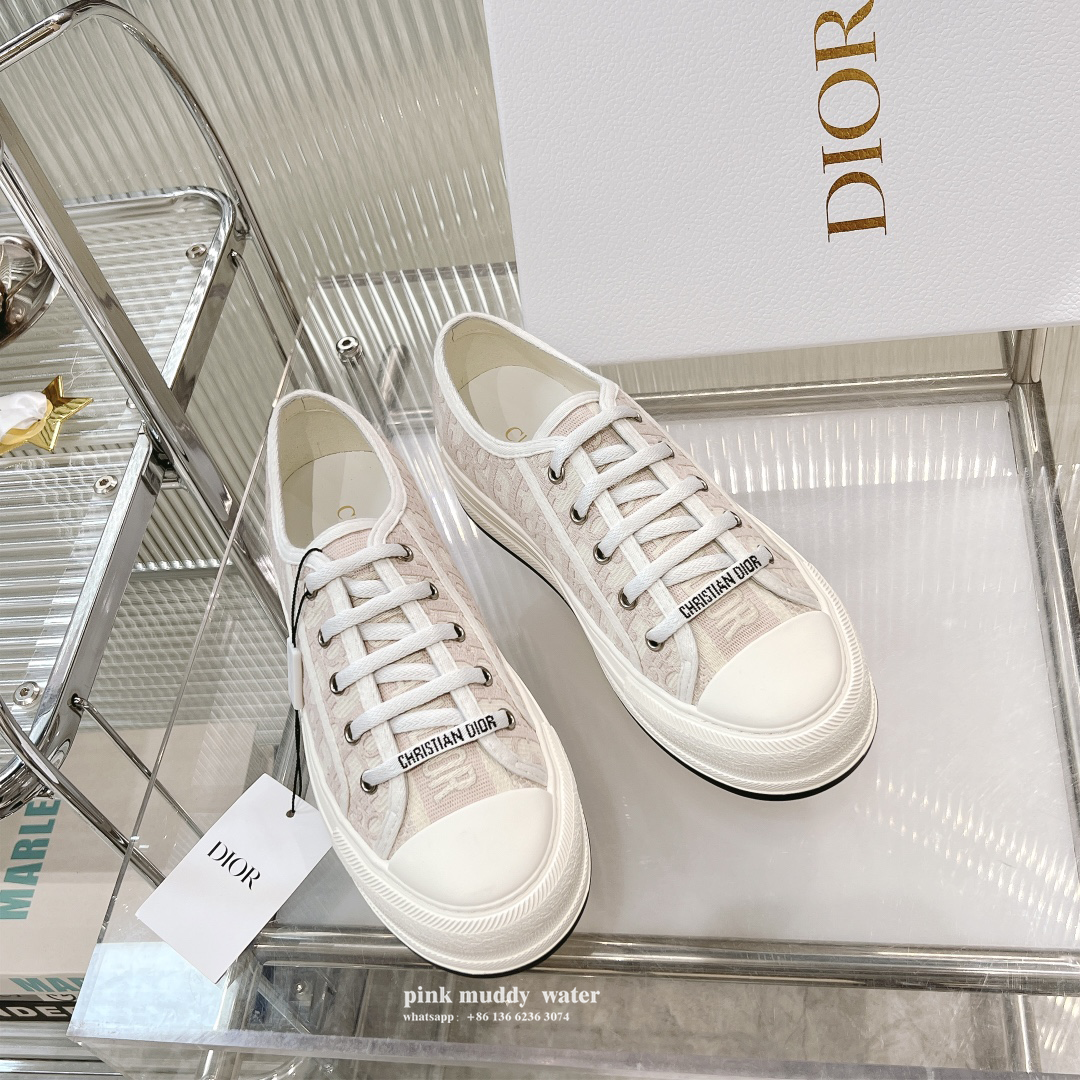 Dior Shoes