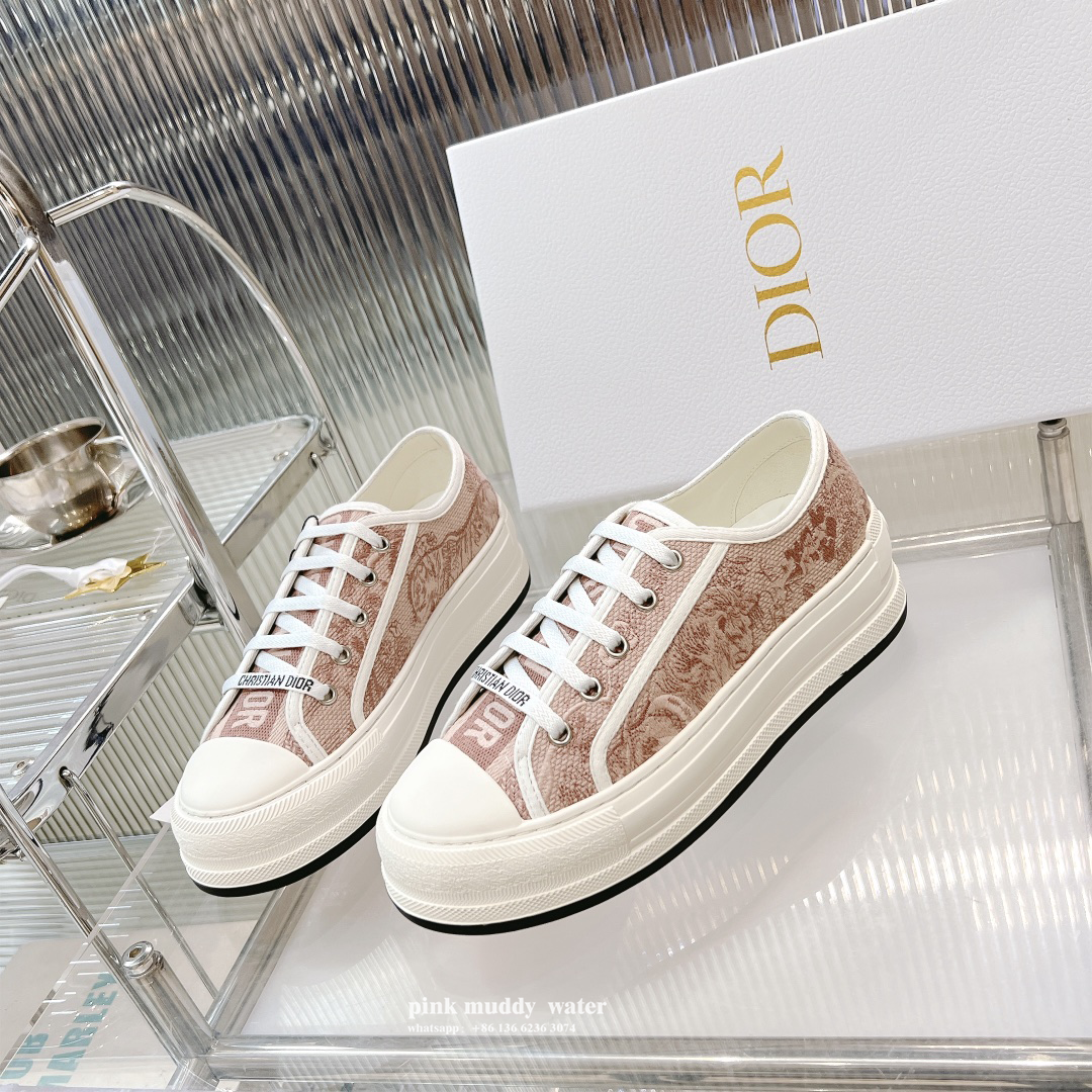 Dior Shoes