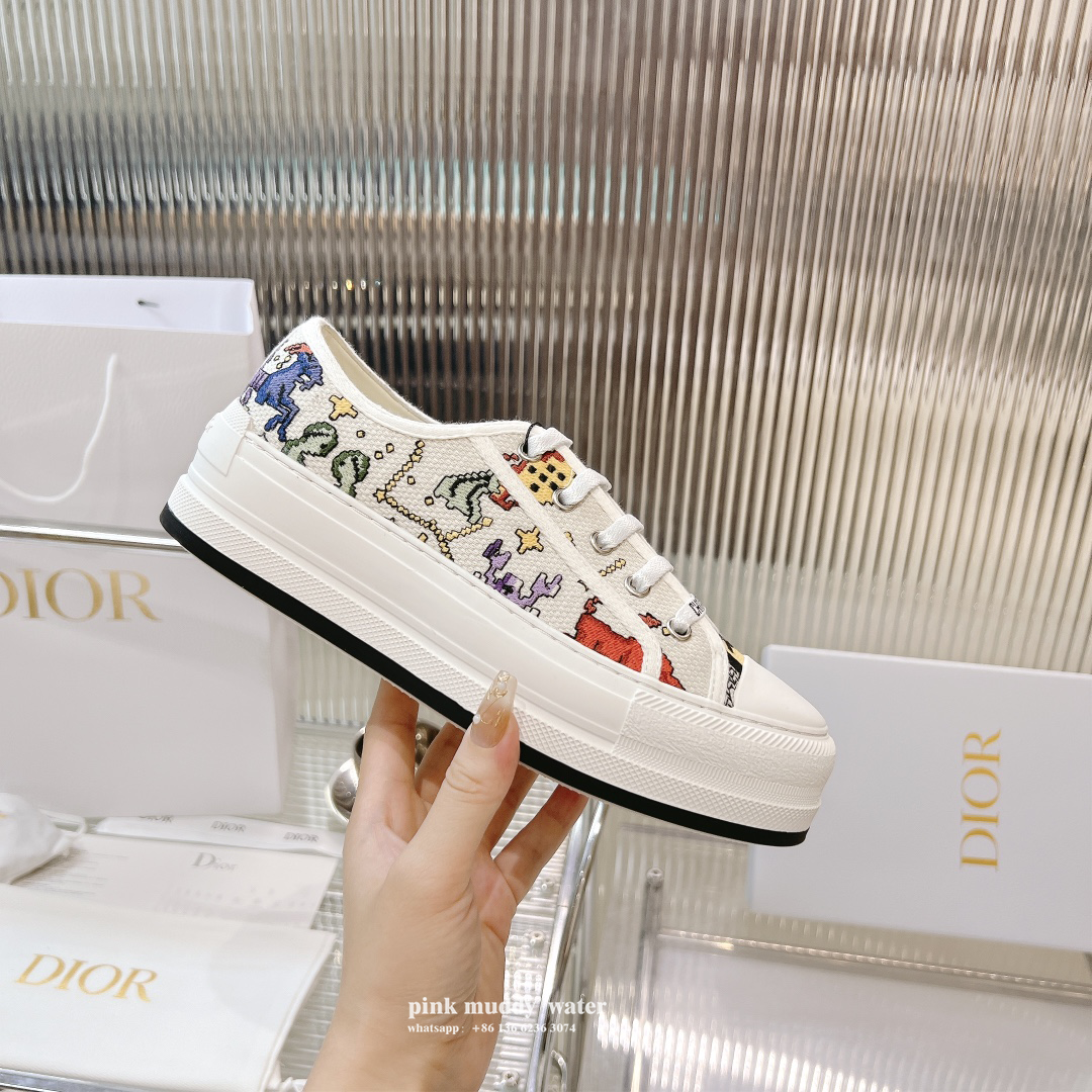 Dior Shoes