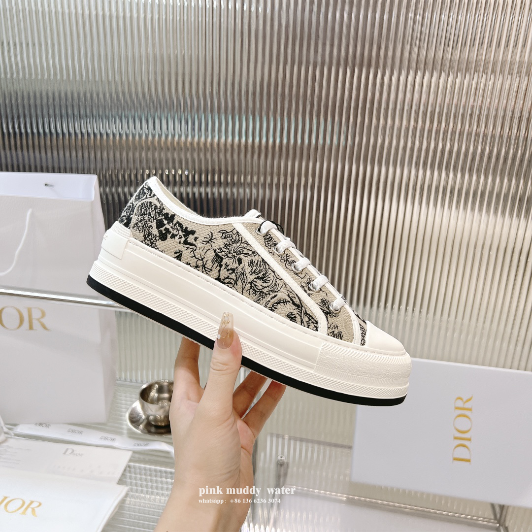 Dior Shoes
