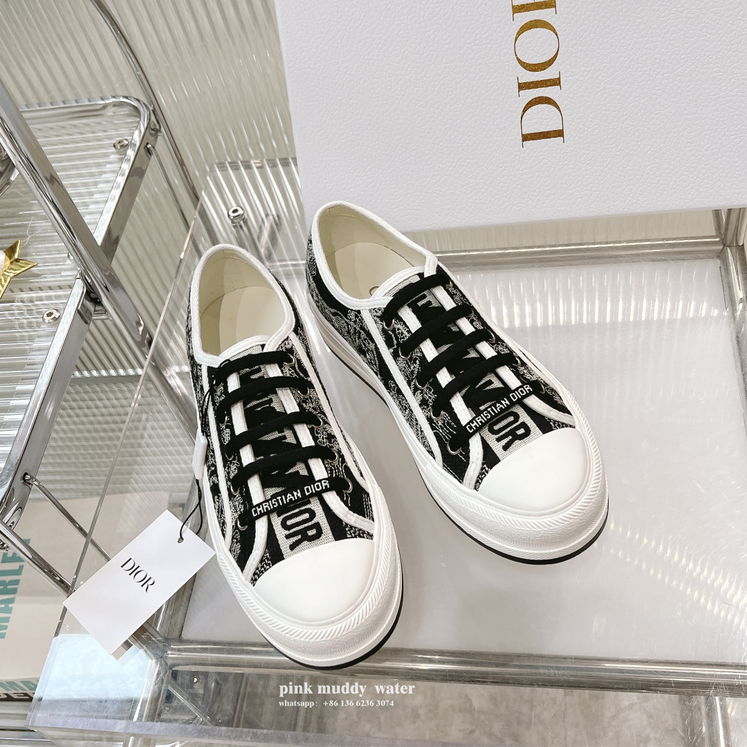 Dior Shoes