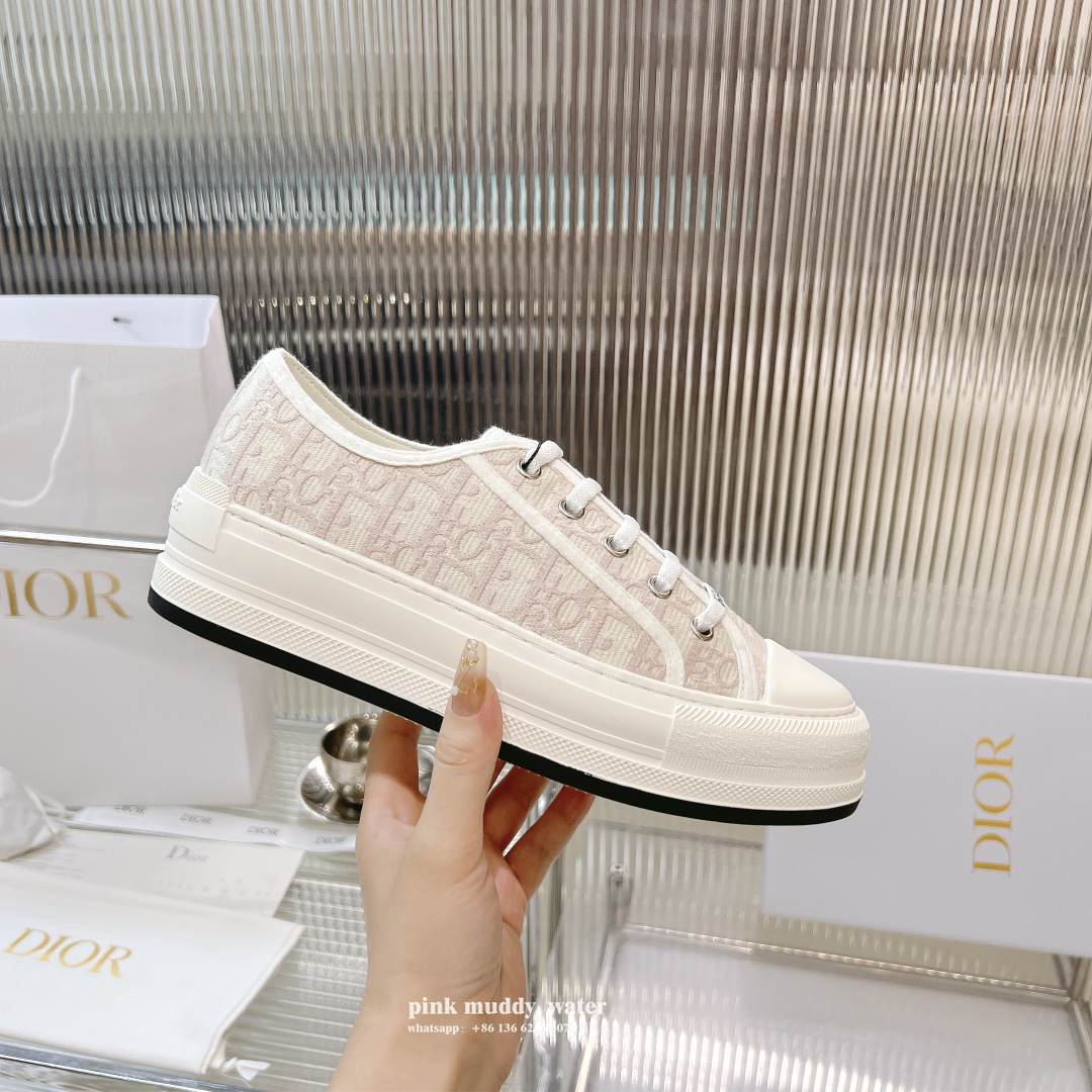 Dior Shoes