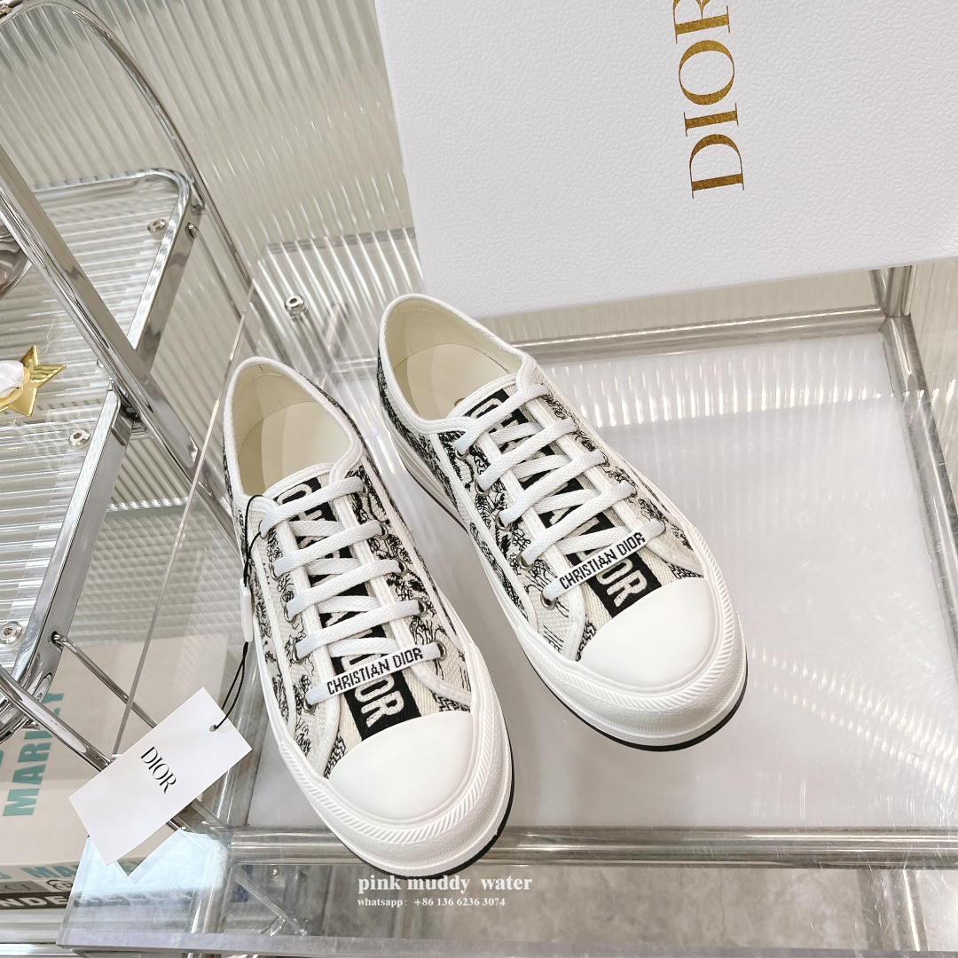 Dior Shoes