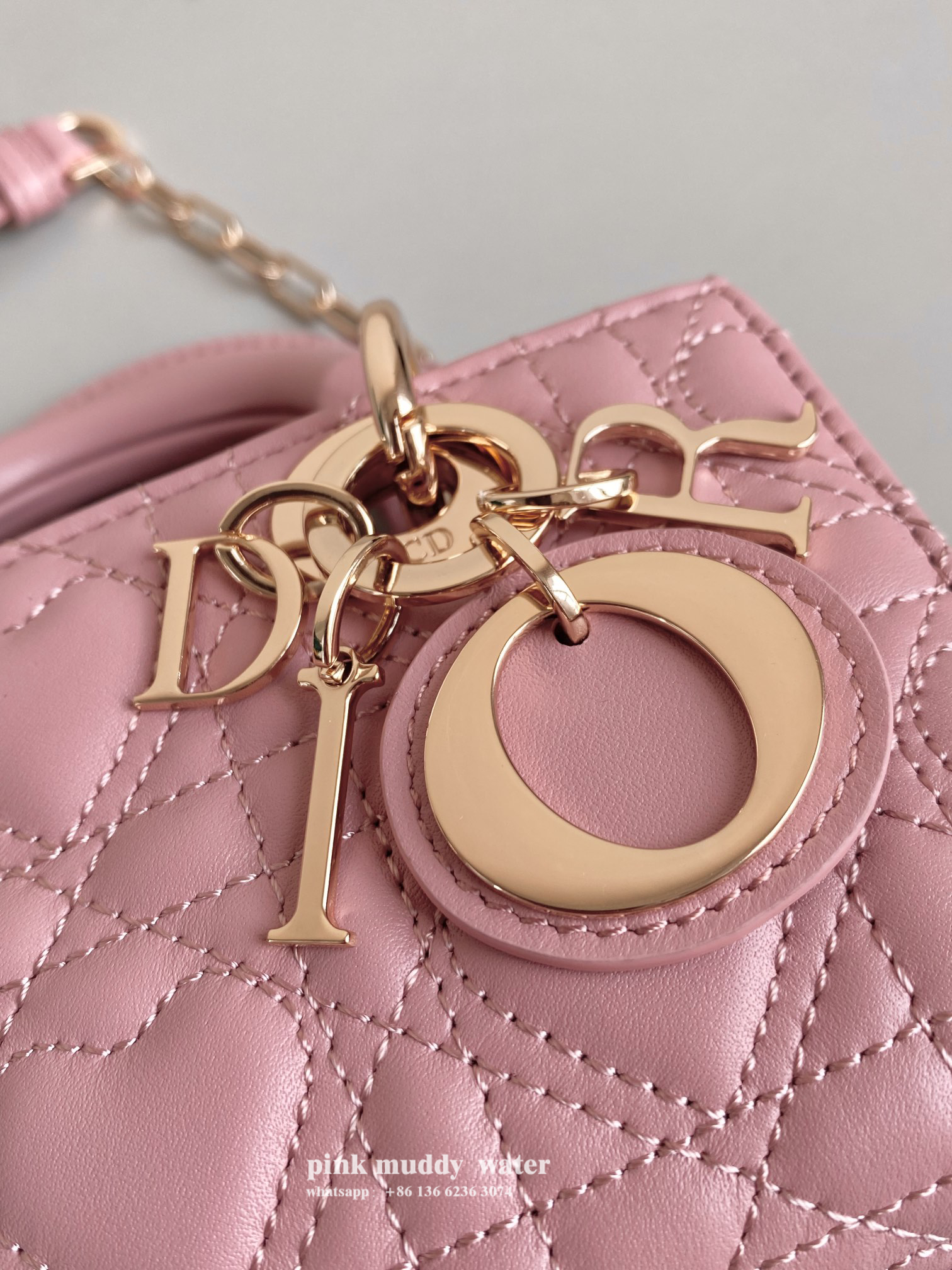 Dior Bag