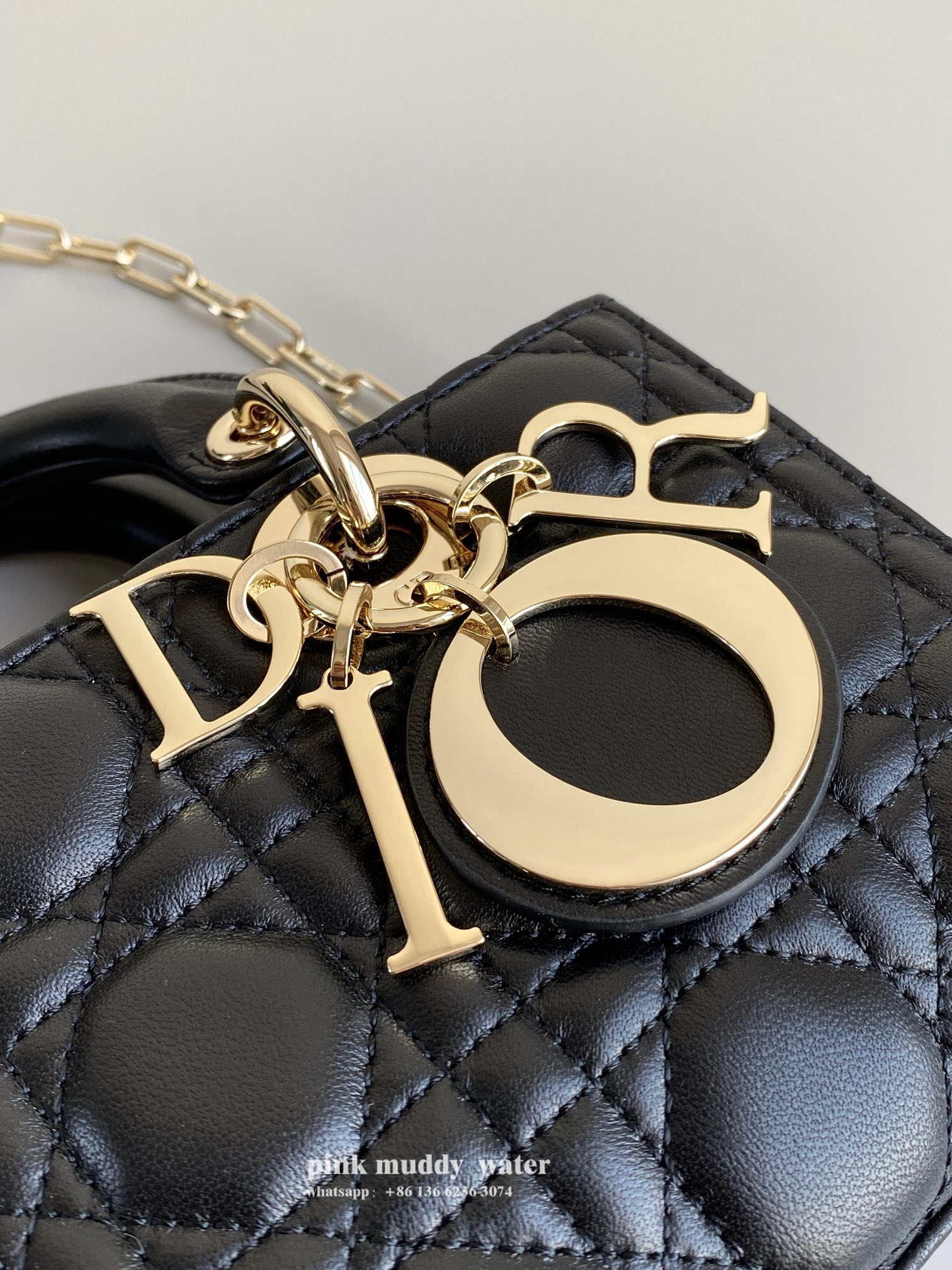 Dior Bag