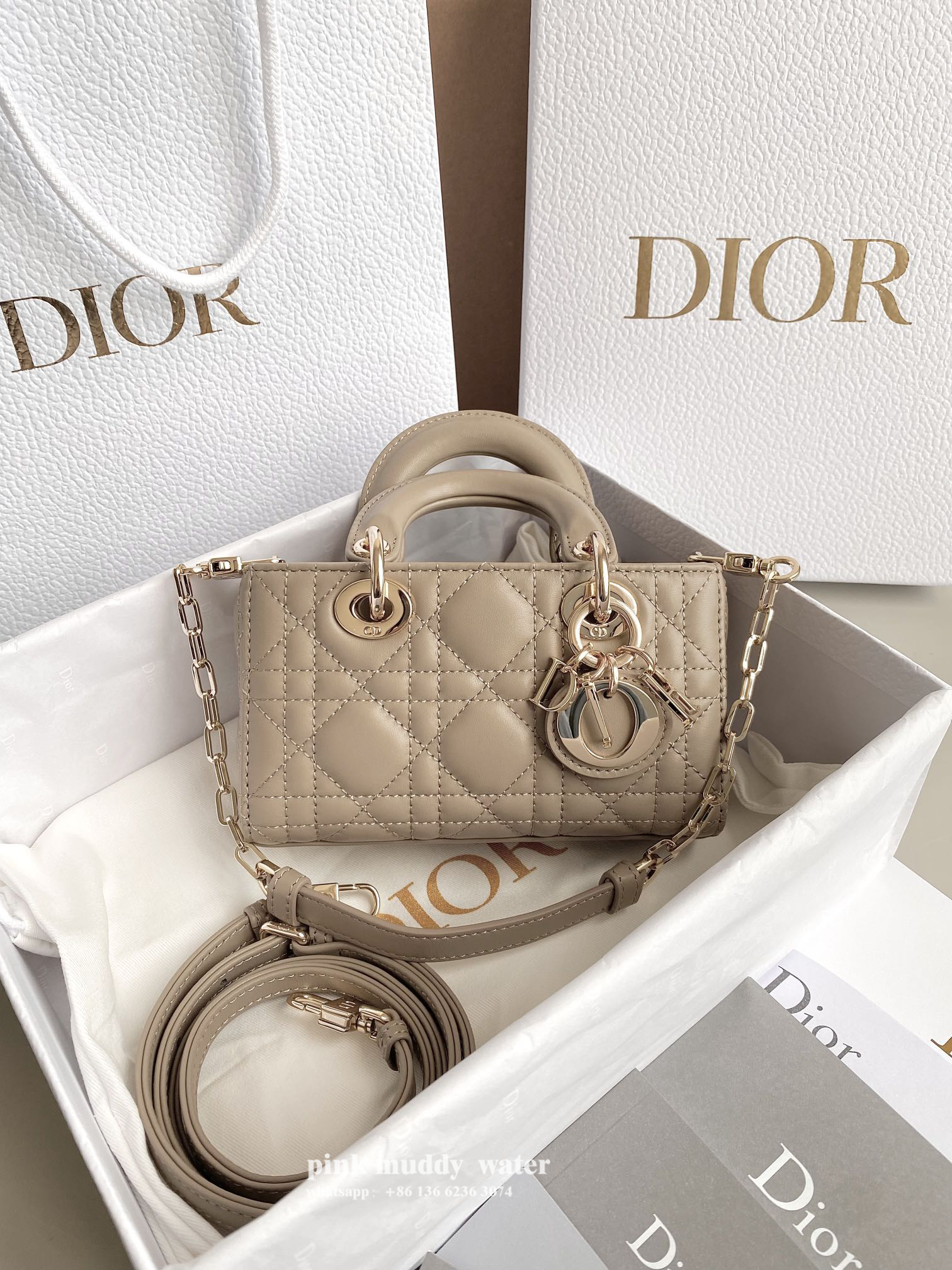 Dior Bag
