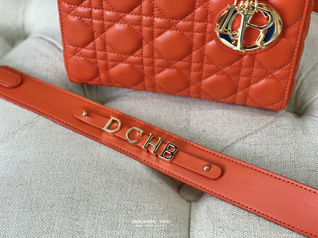 Dior Bag