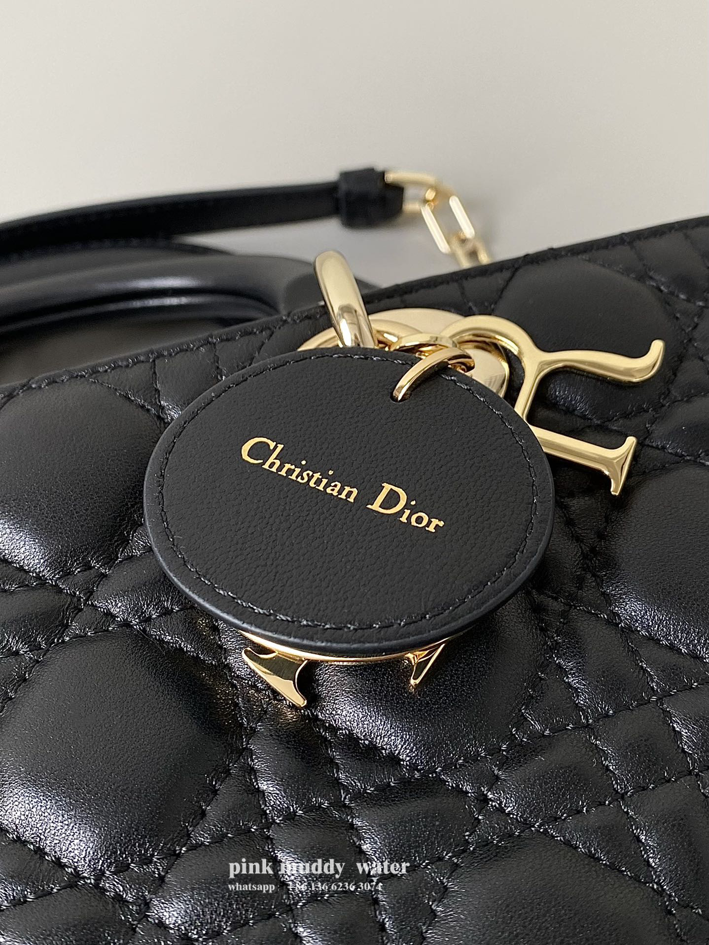 Dior Bag