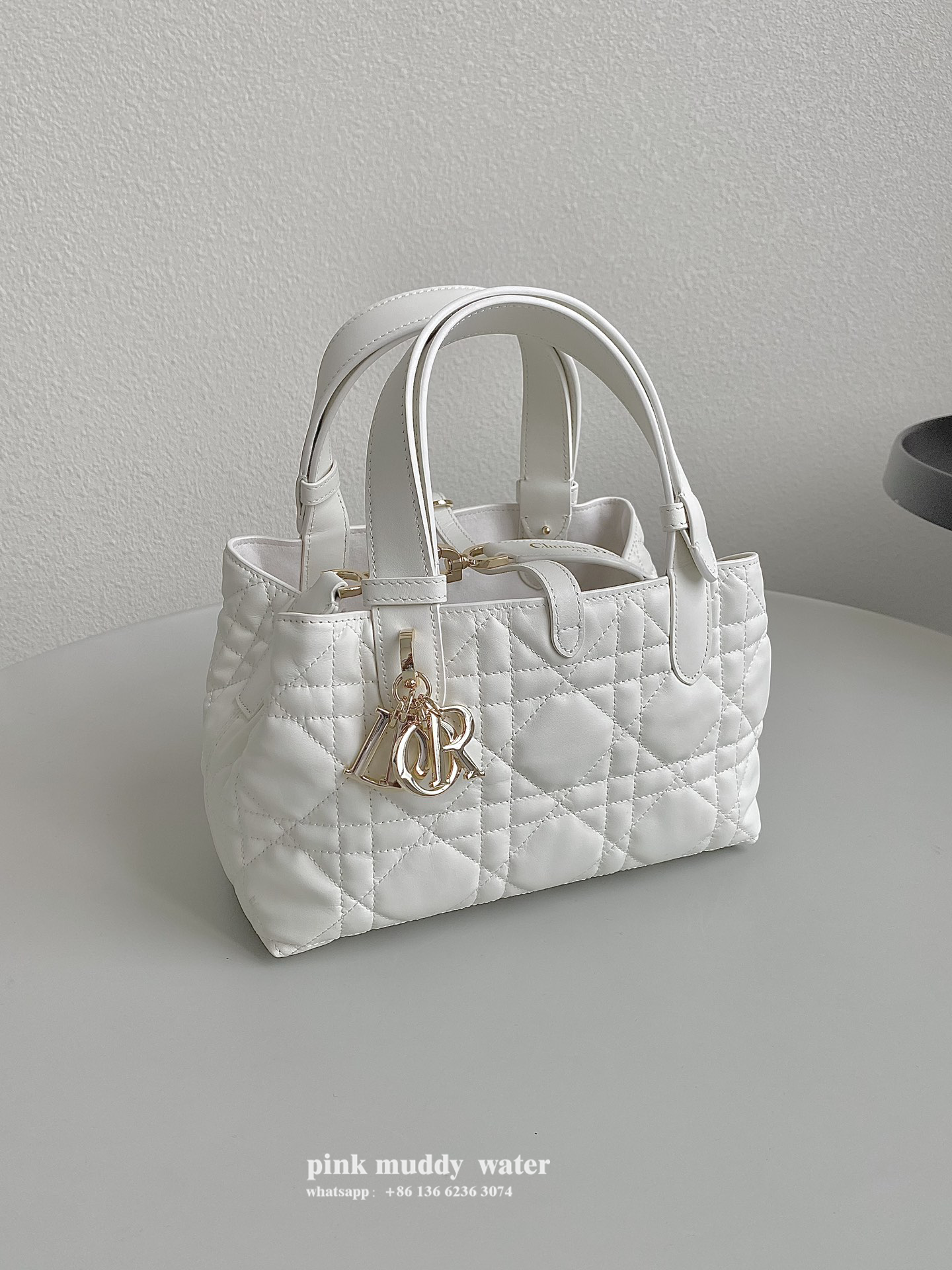 Dior Bag