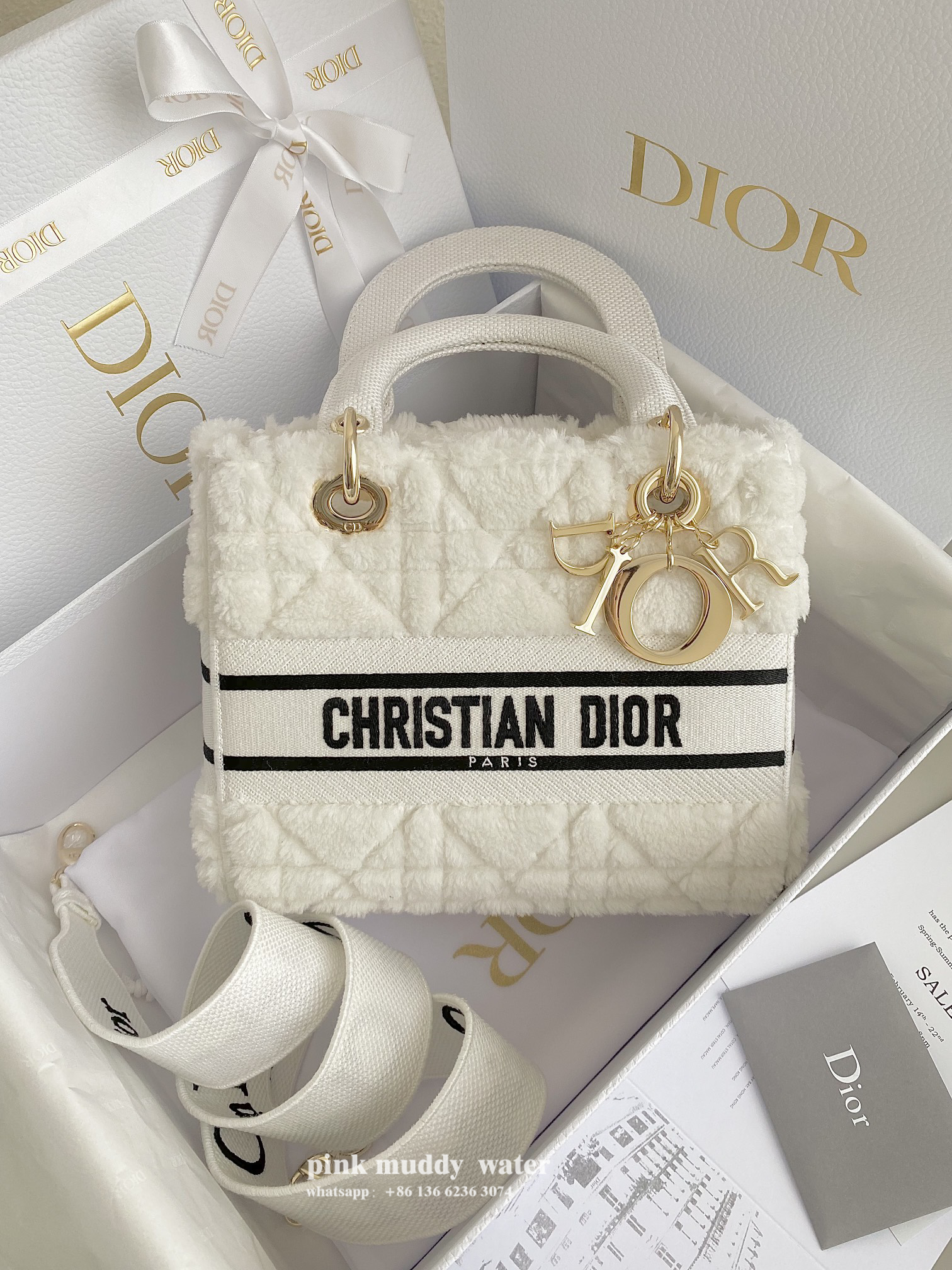 Dior Bag