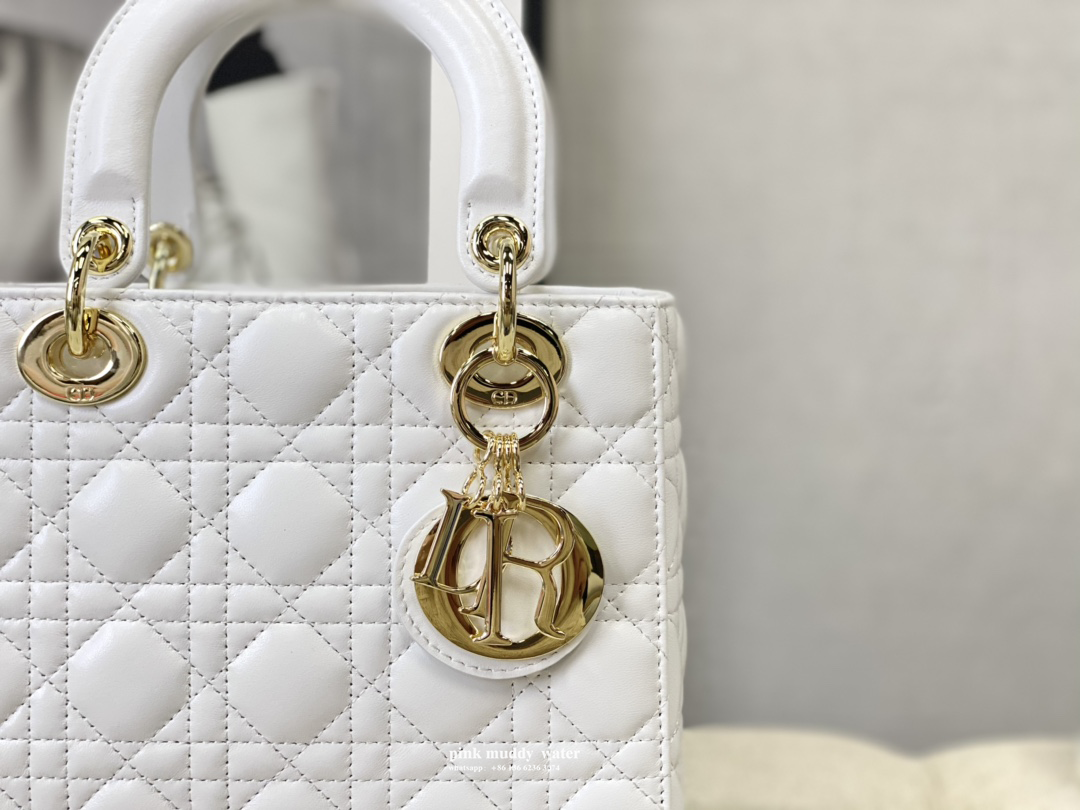 Dior Bag