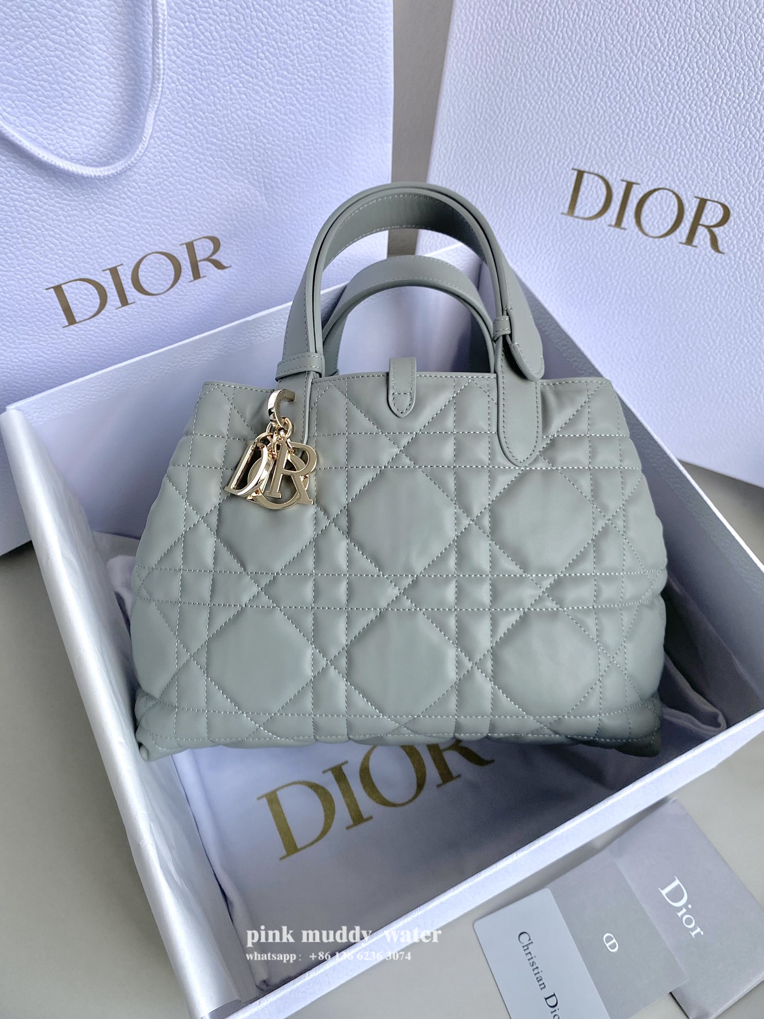 Dior Bag