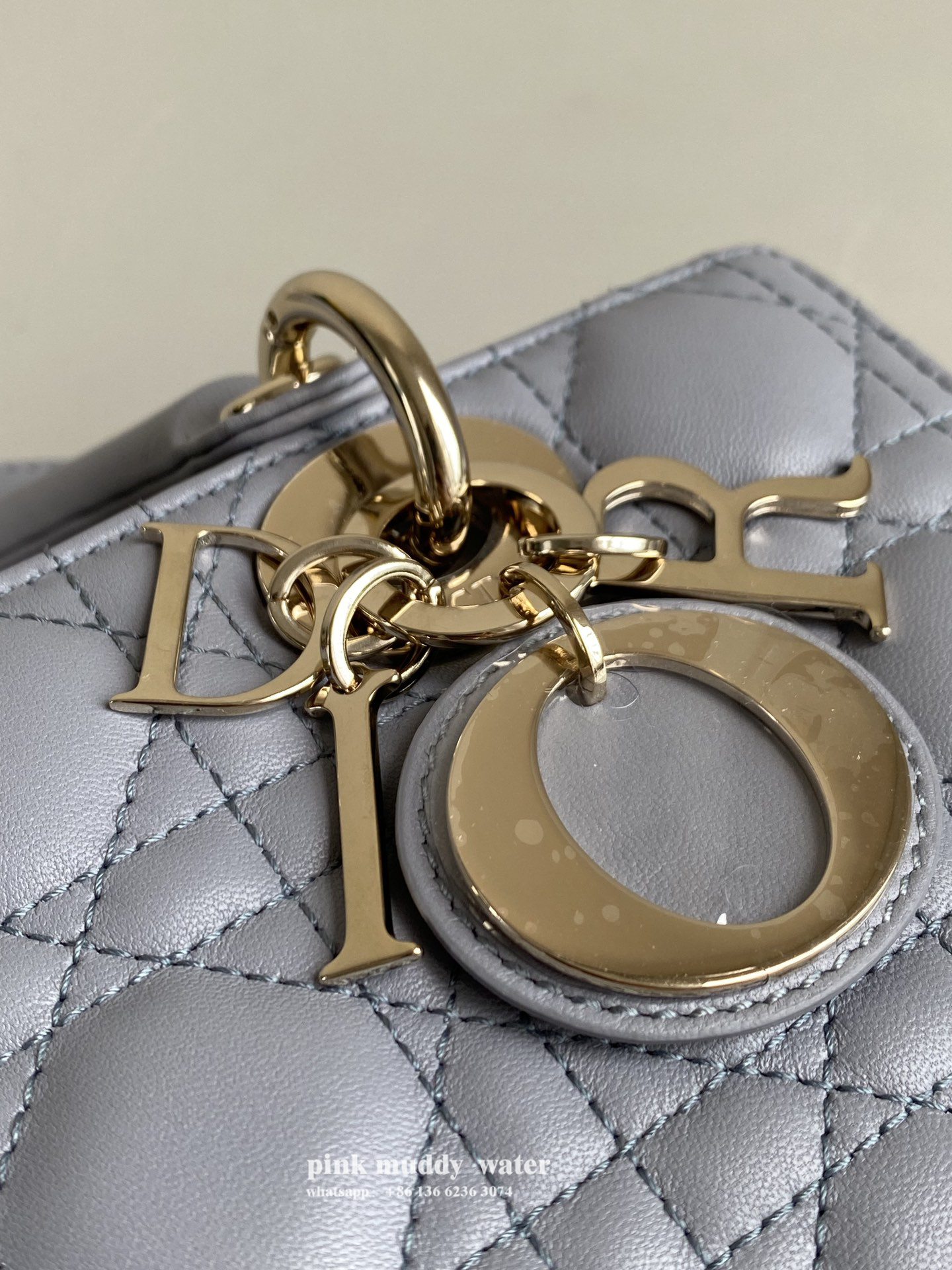 Dior Bag