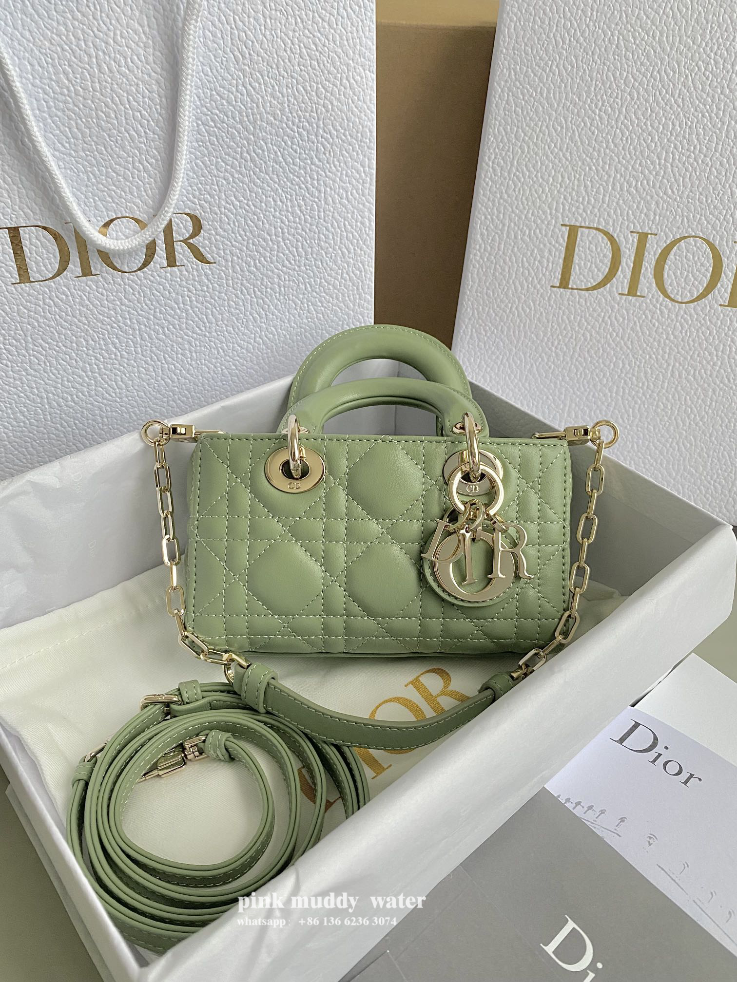 Dior Bag