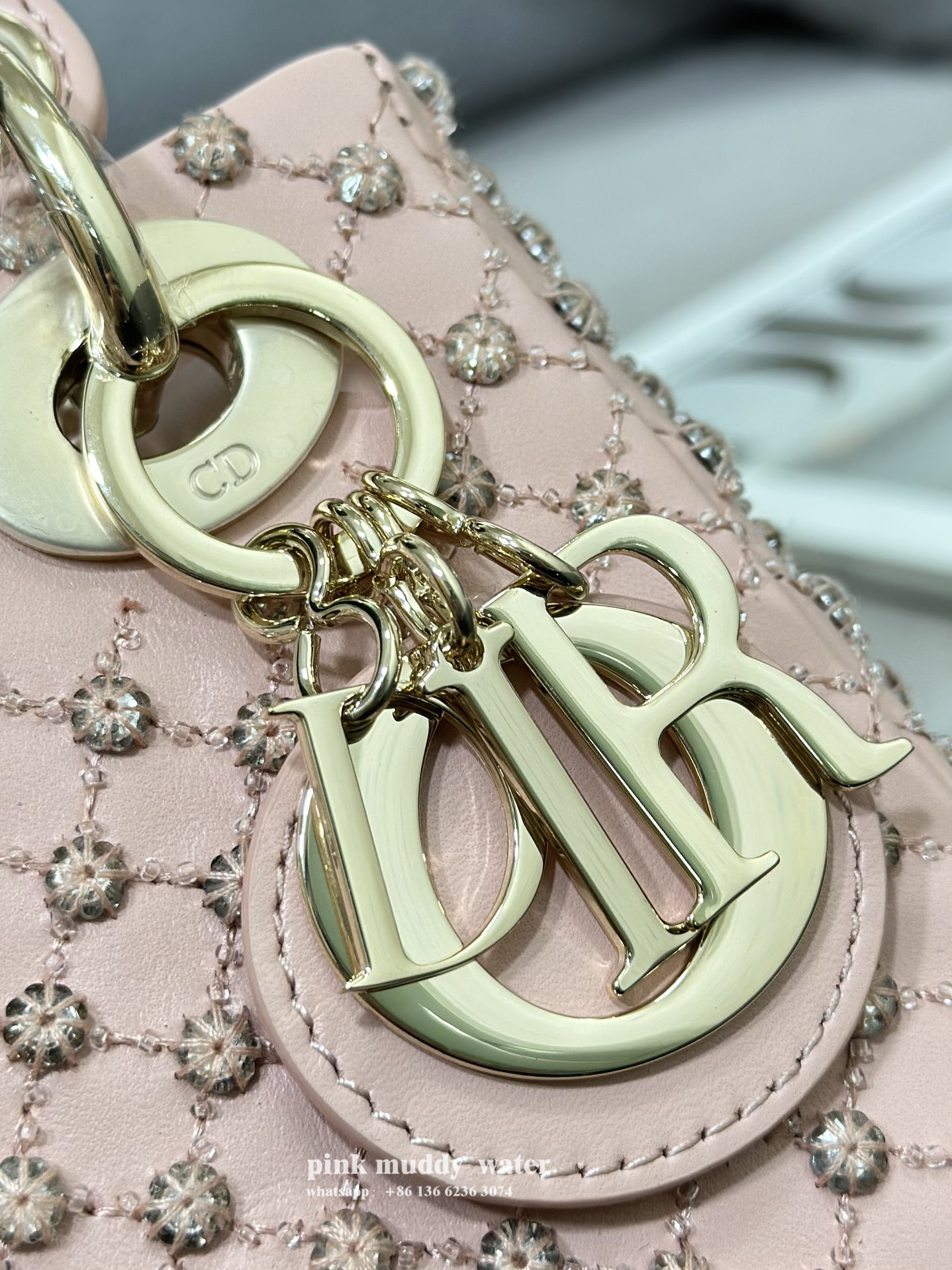 Dior Bag