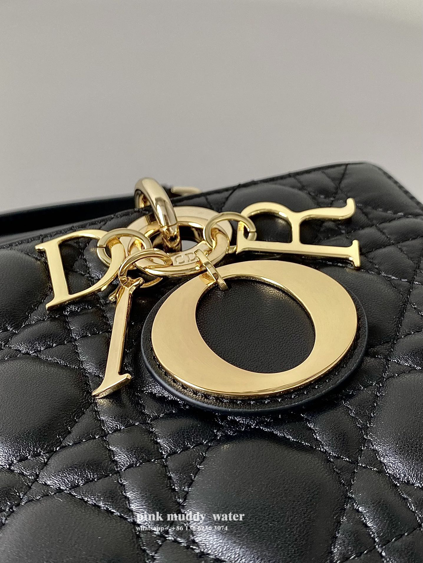 Dior Bag